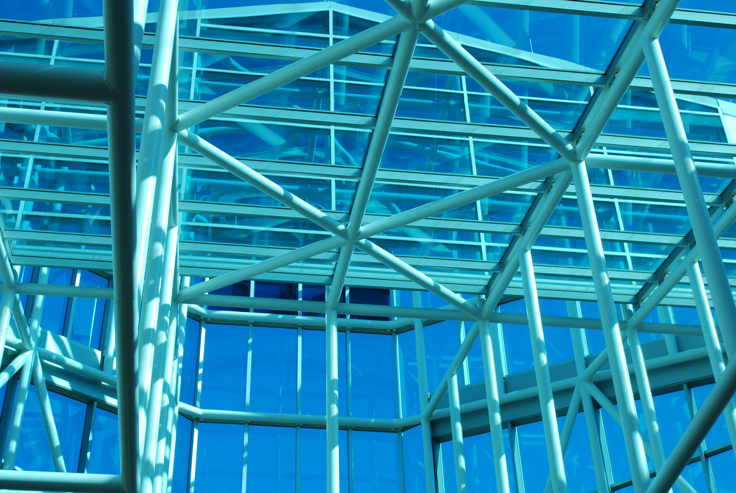 DSC_0878.JPG