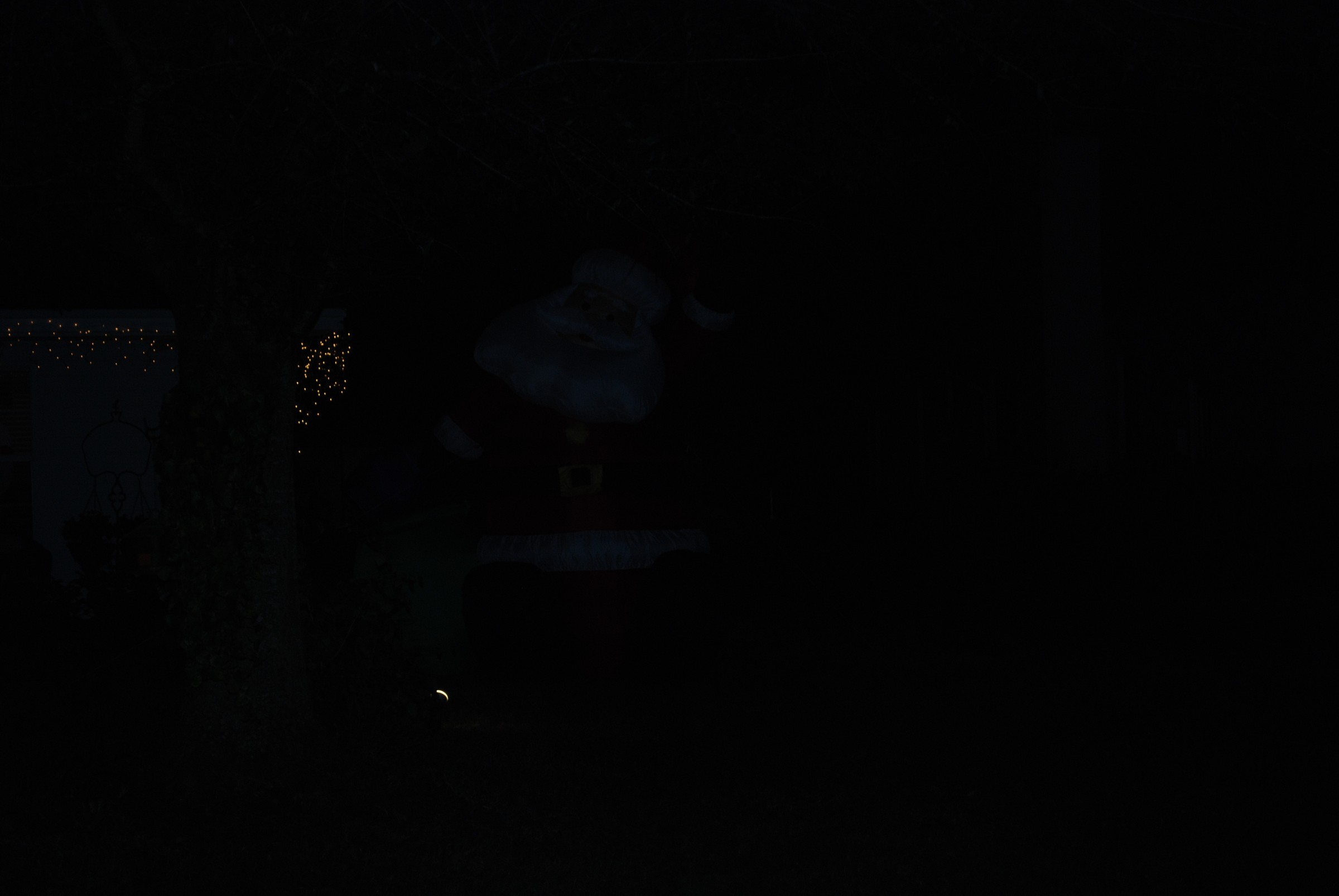 DSC_0897.JPG