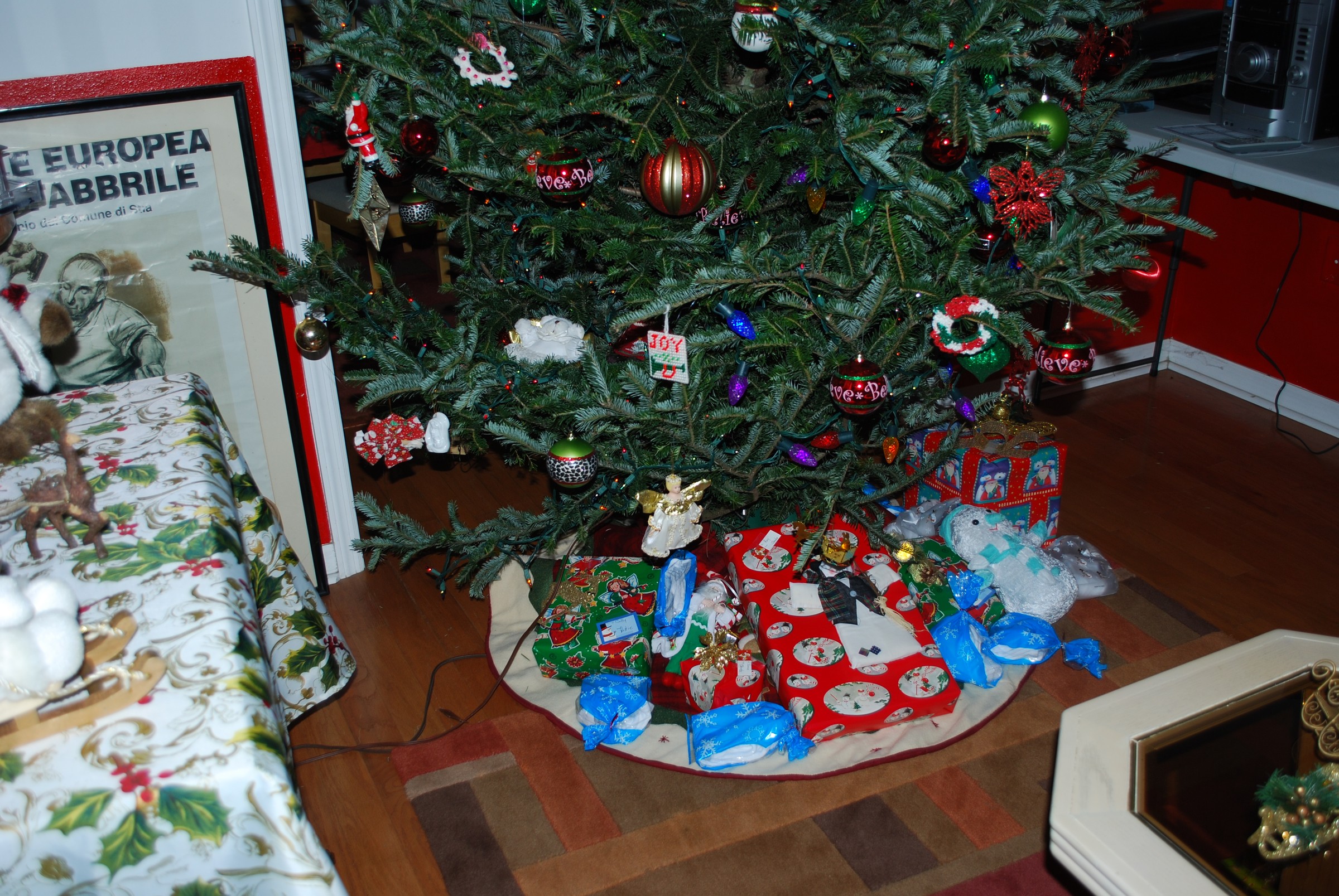 DSC_0920.JPG