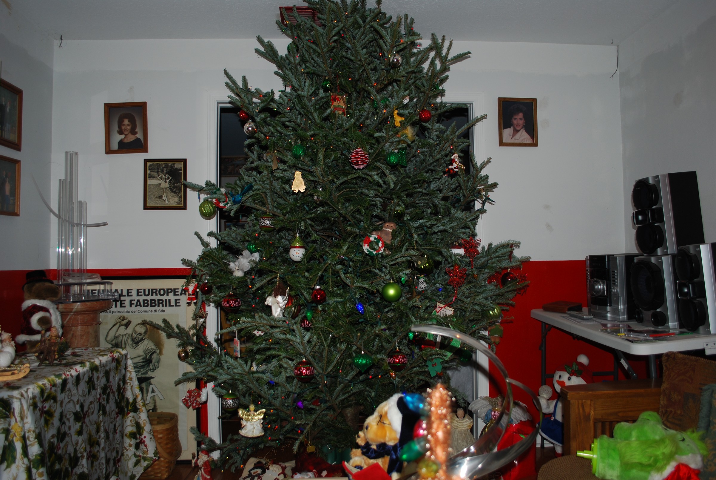 DSC_0942.JPG