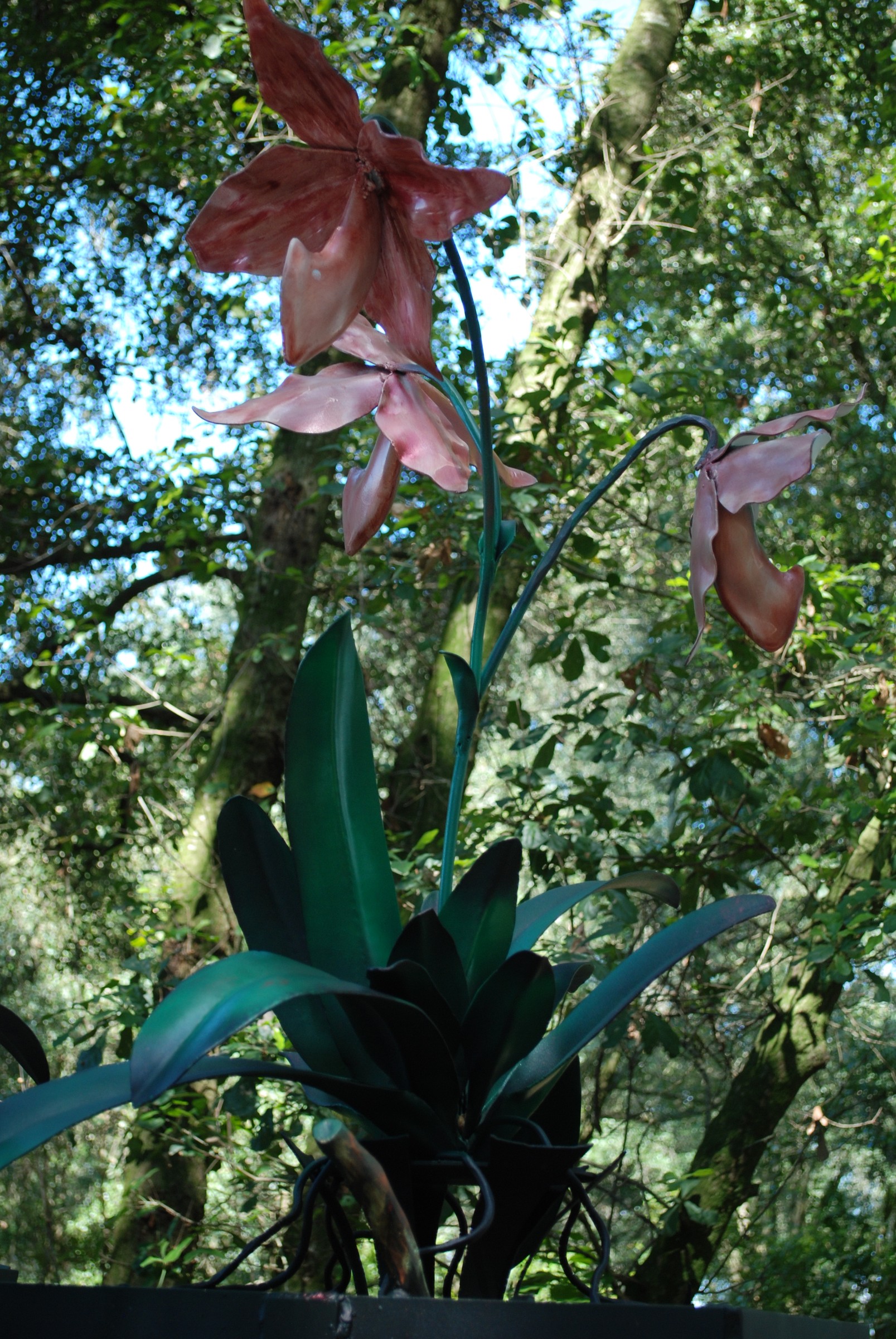 DSC_0187.JPG