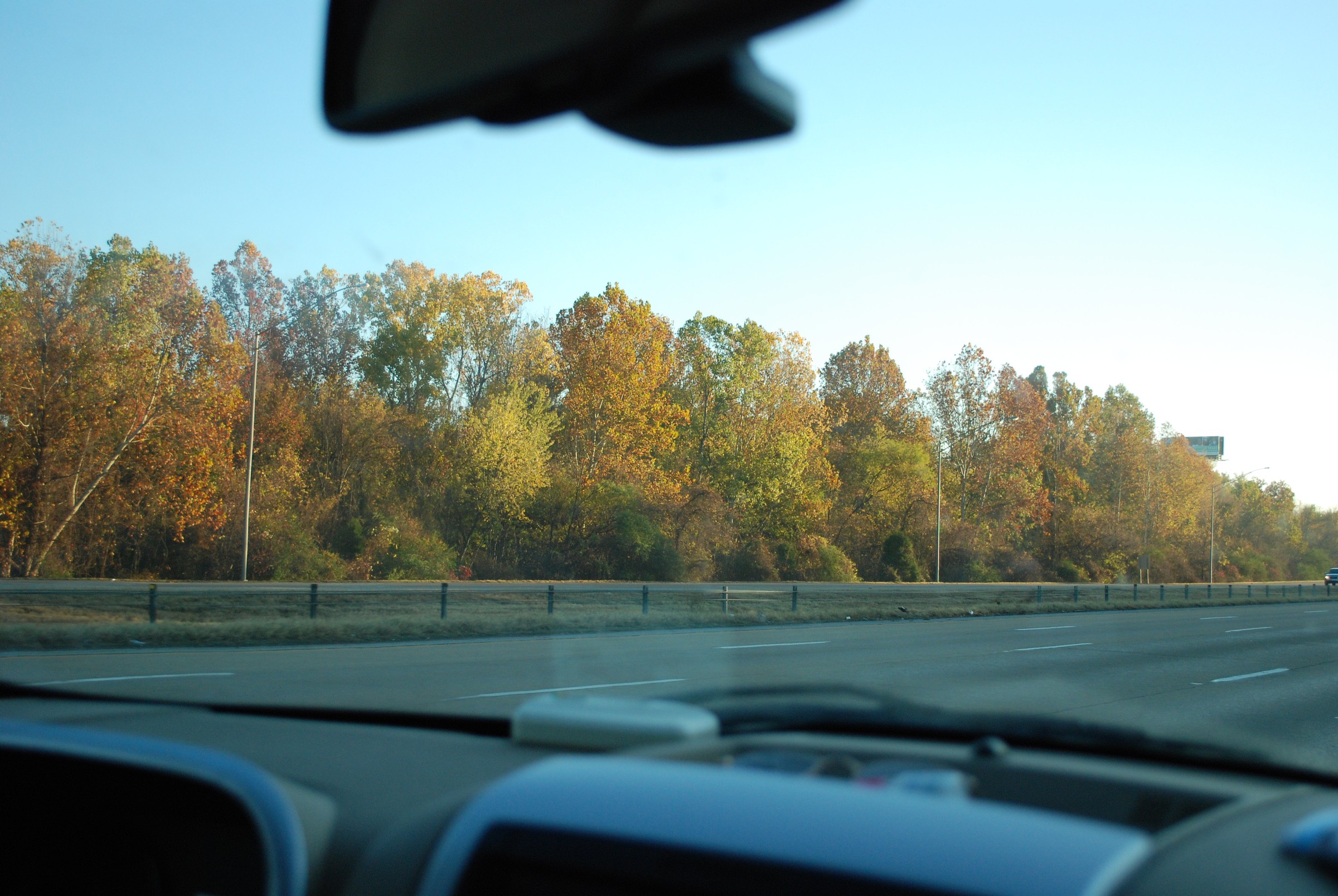 DSC_0255.JPG