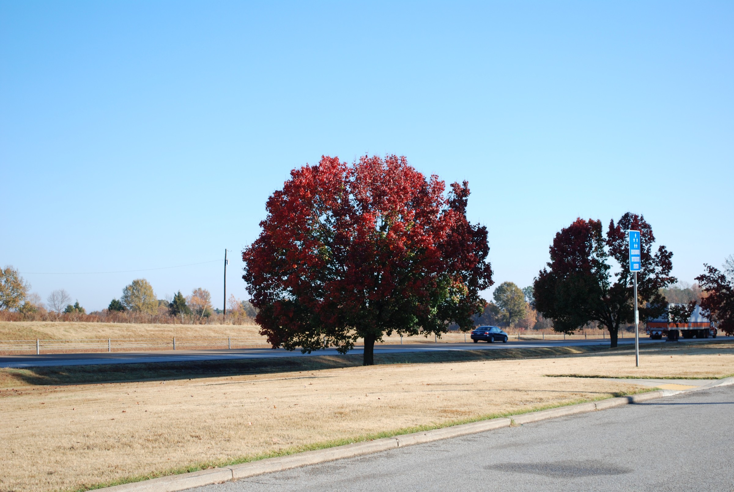 DSC_0268.JPG