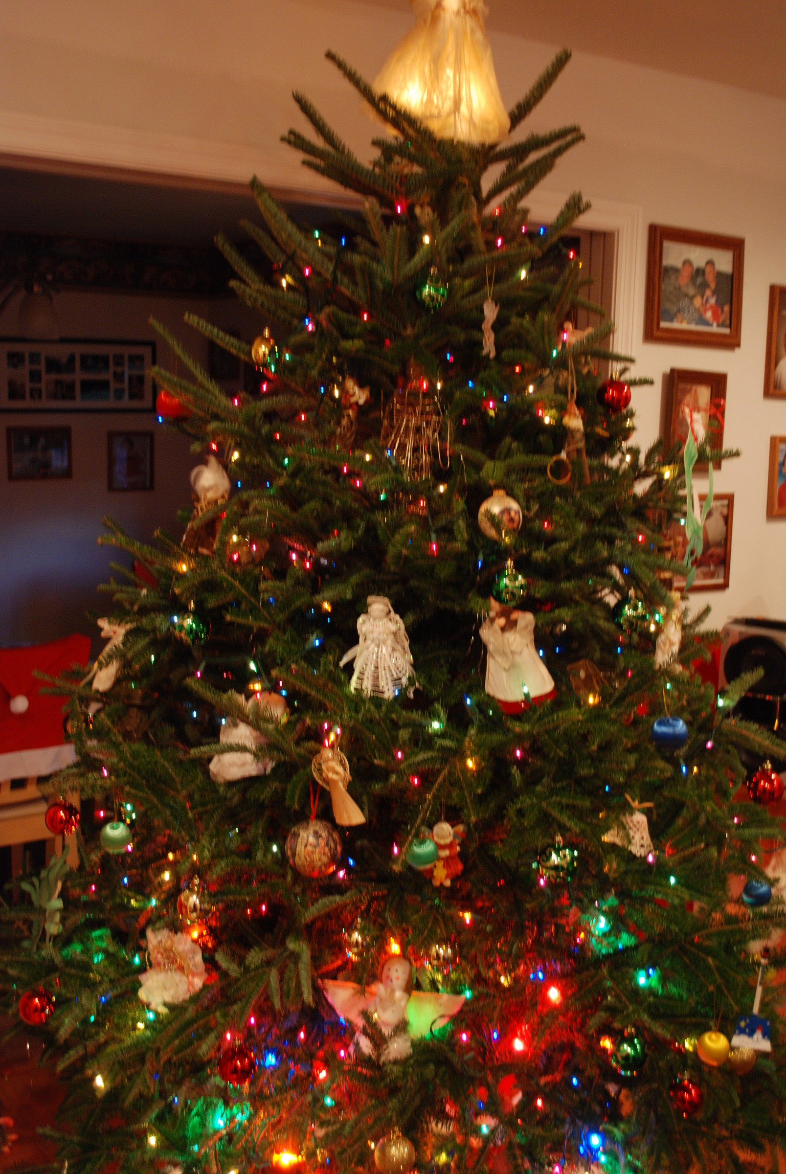 DSC_0290.JPG