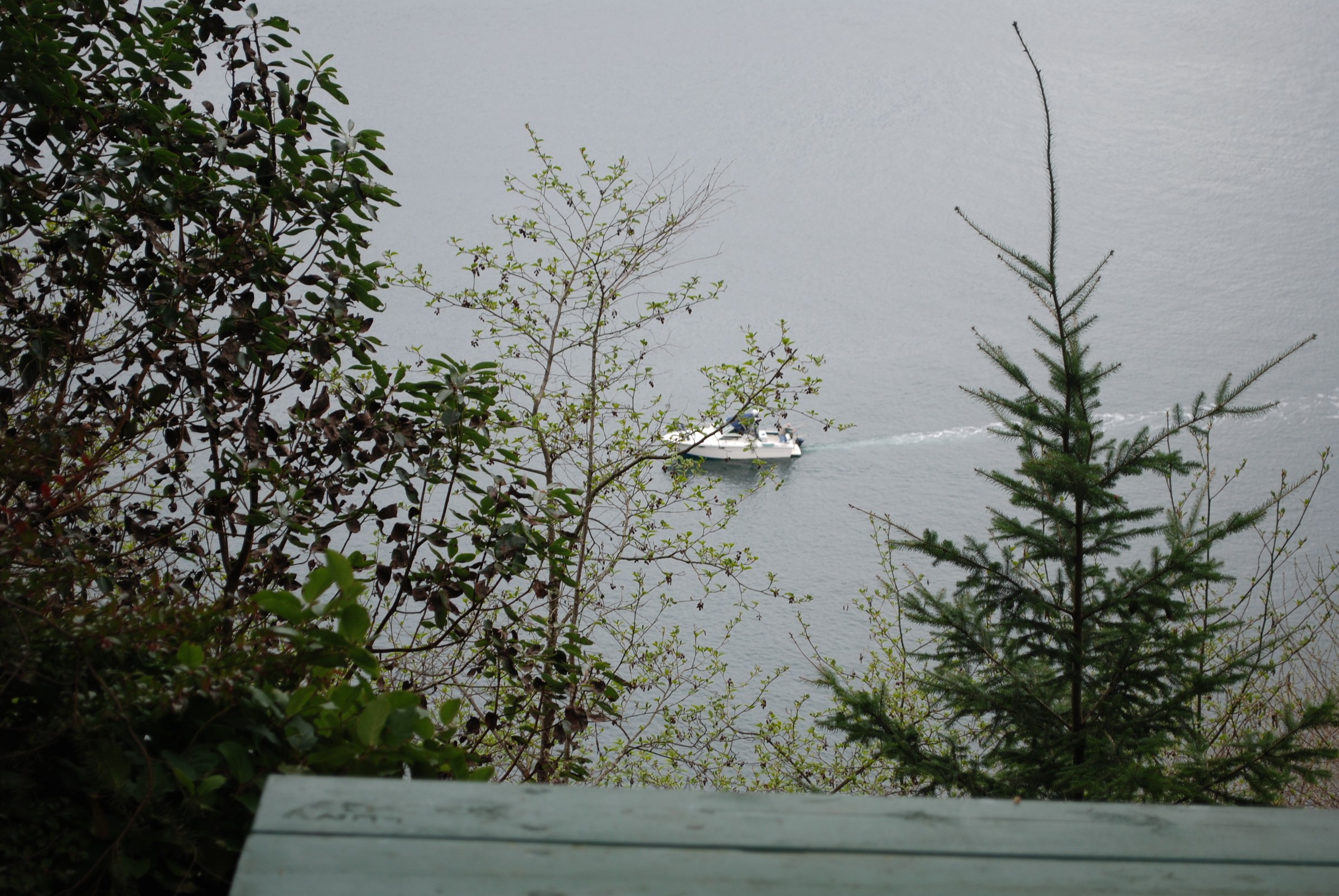 DSC_0464.JPG