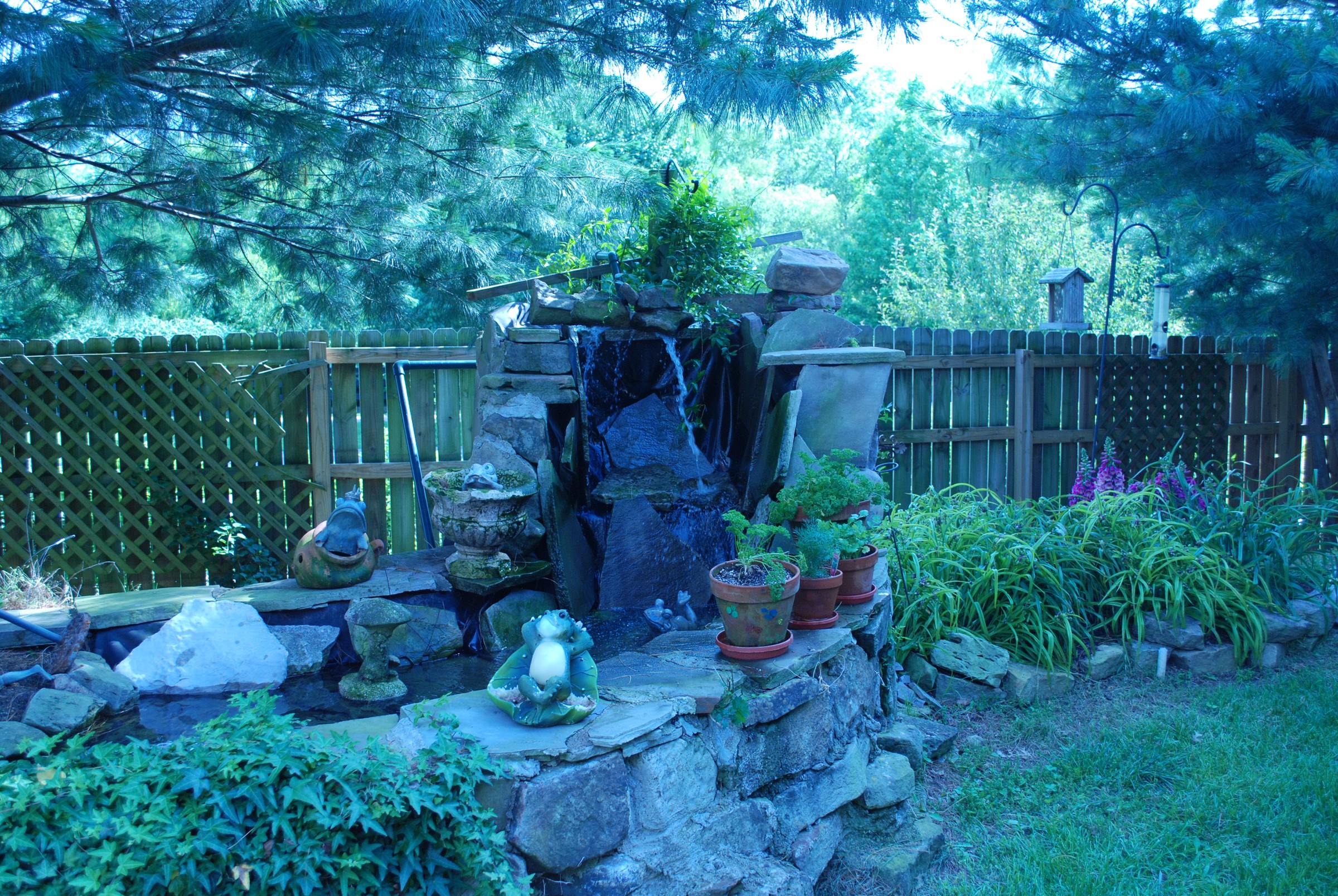 DSC_0564.JPG