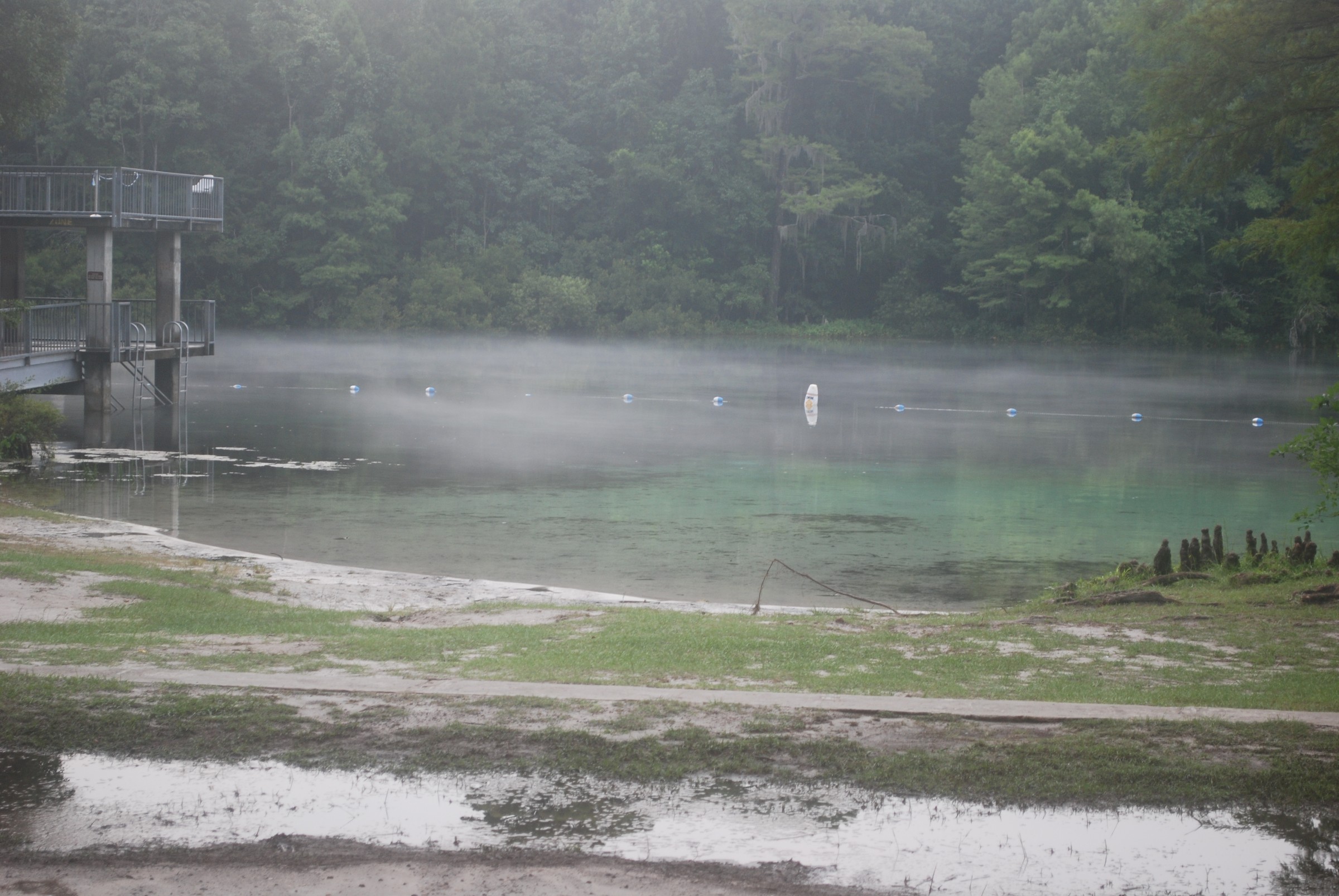 DSC_0639.JPG