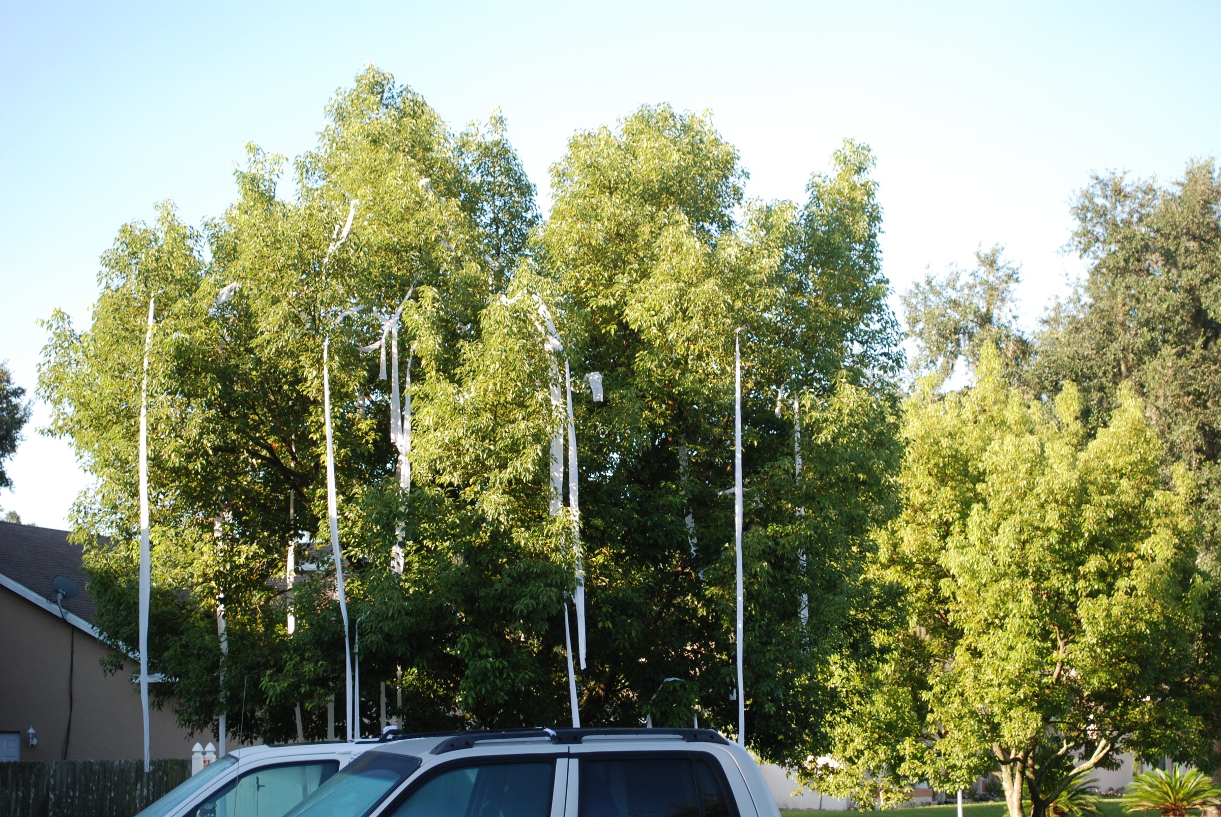 DSC_0647.JPG