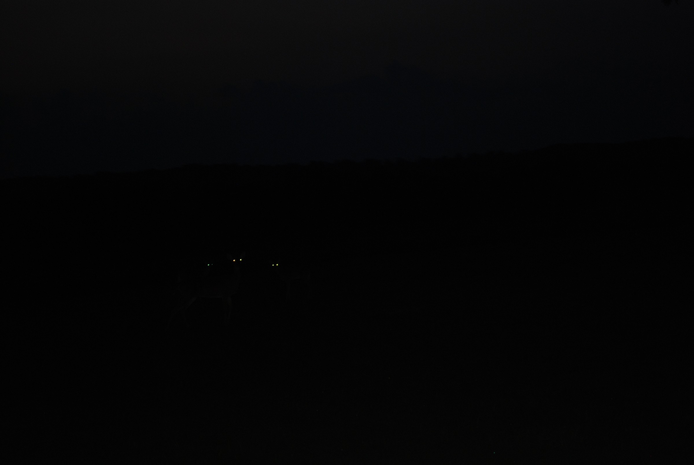 DSC_0154.JPG