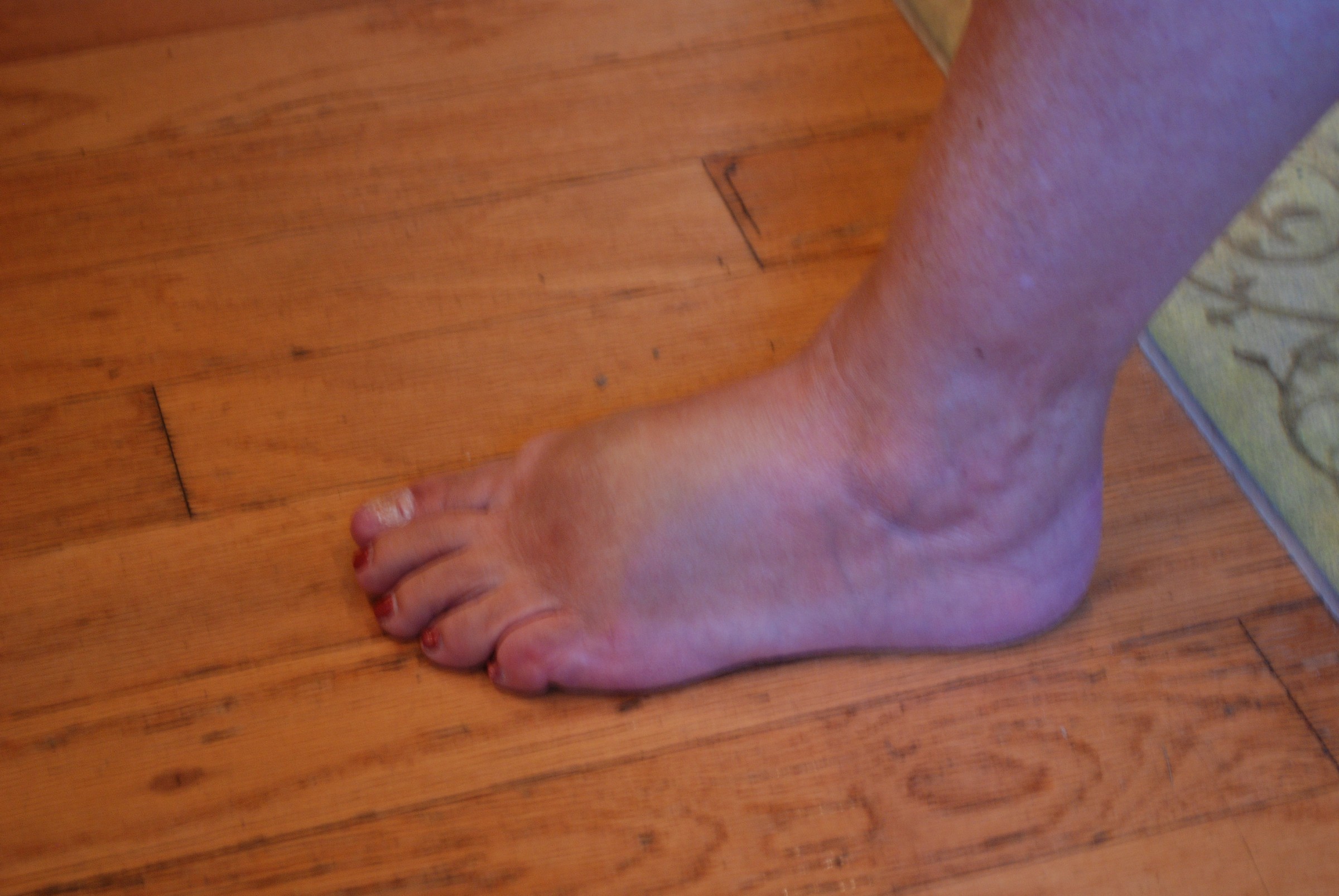DSC_0161.JPG