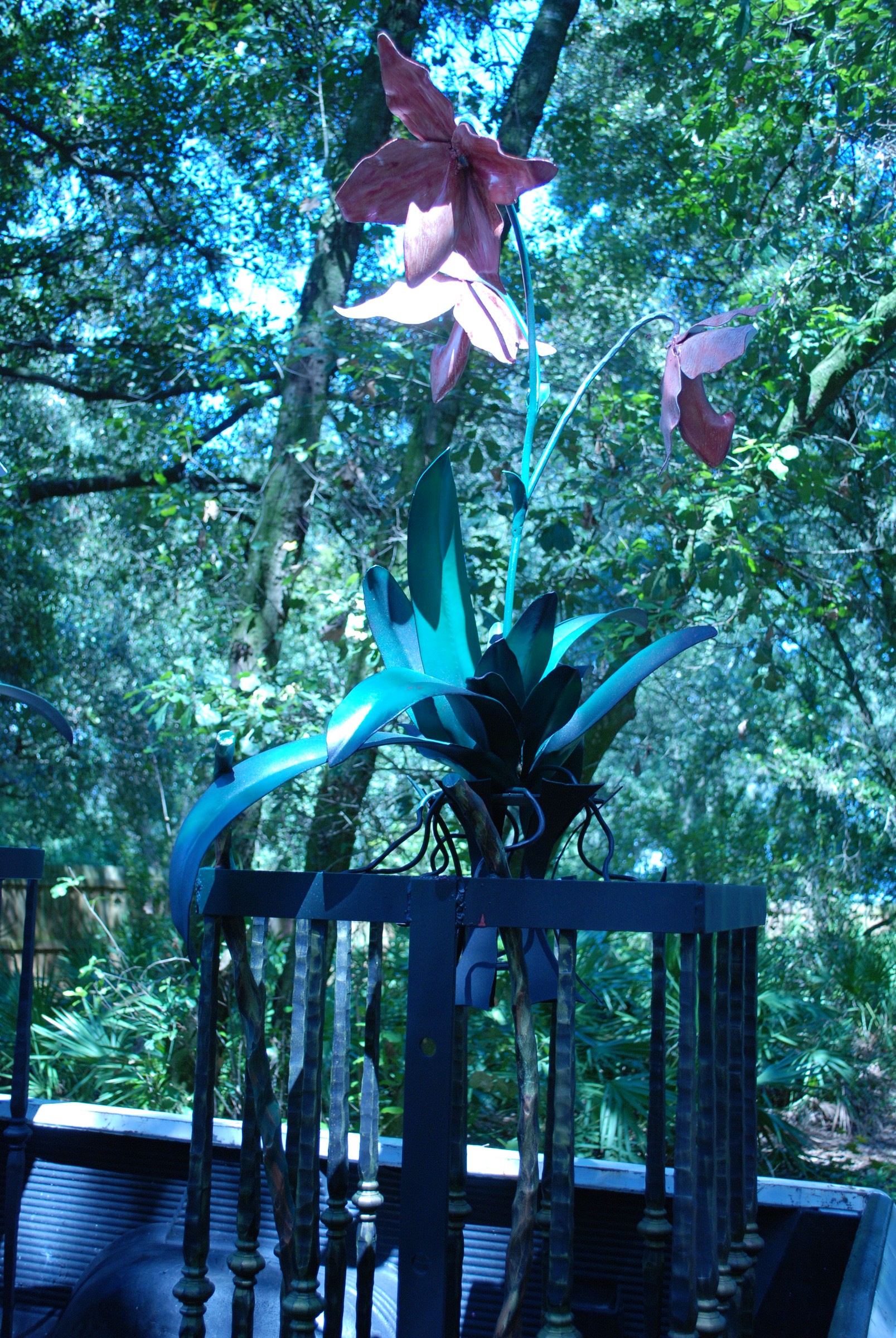 DSC_0171.JPG
