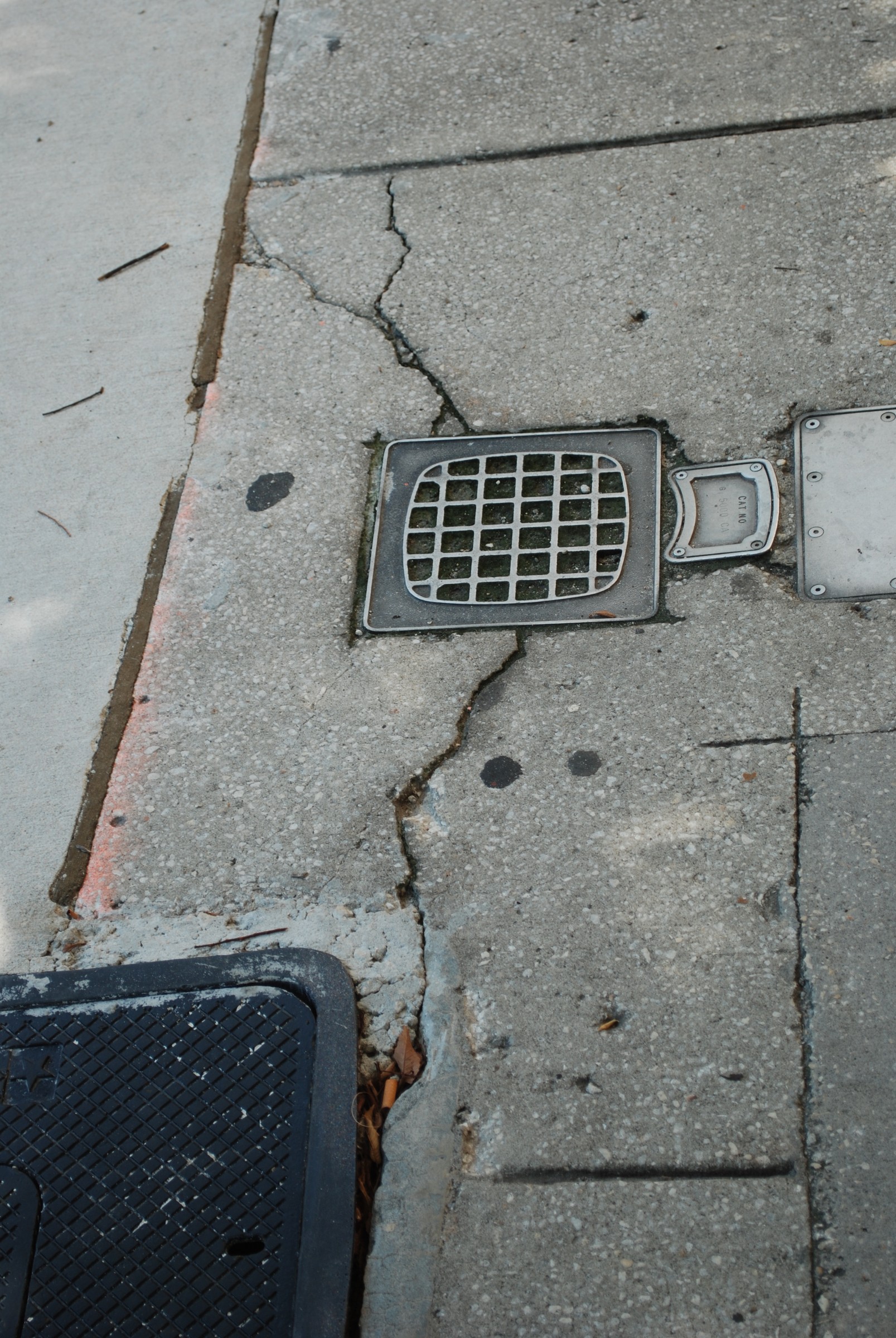 DSC_0192.JPG
