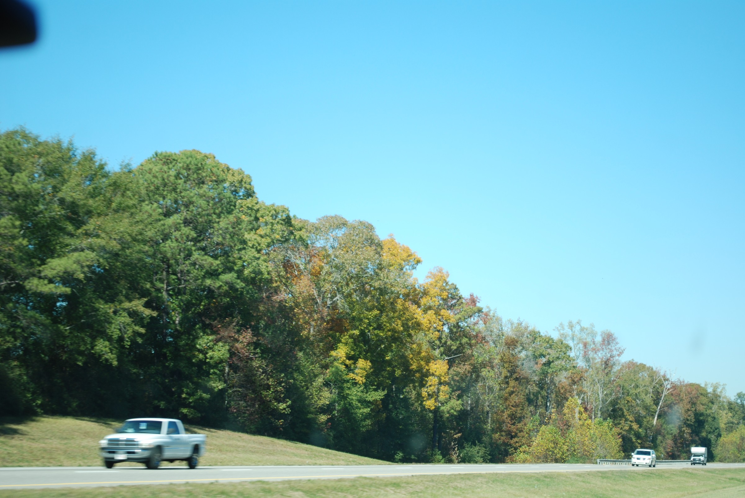 DSC_0224.JPG