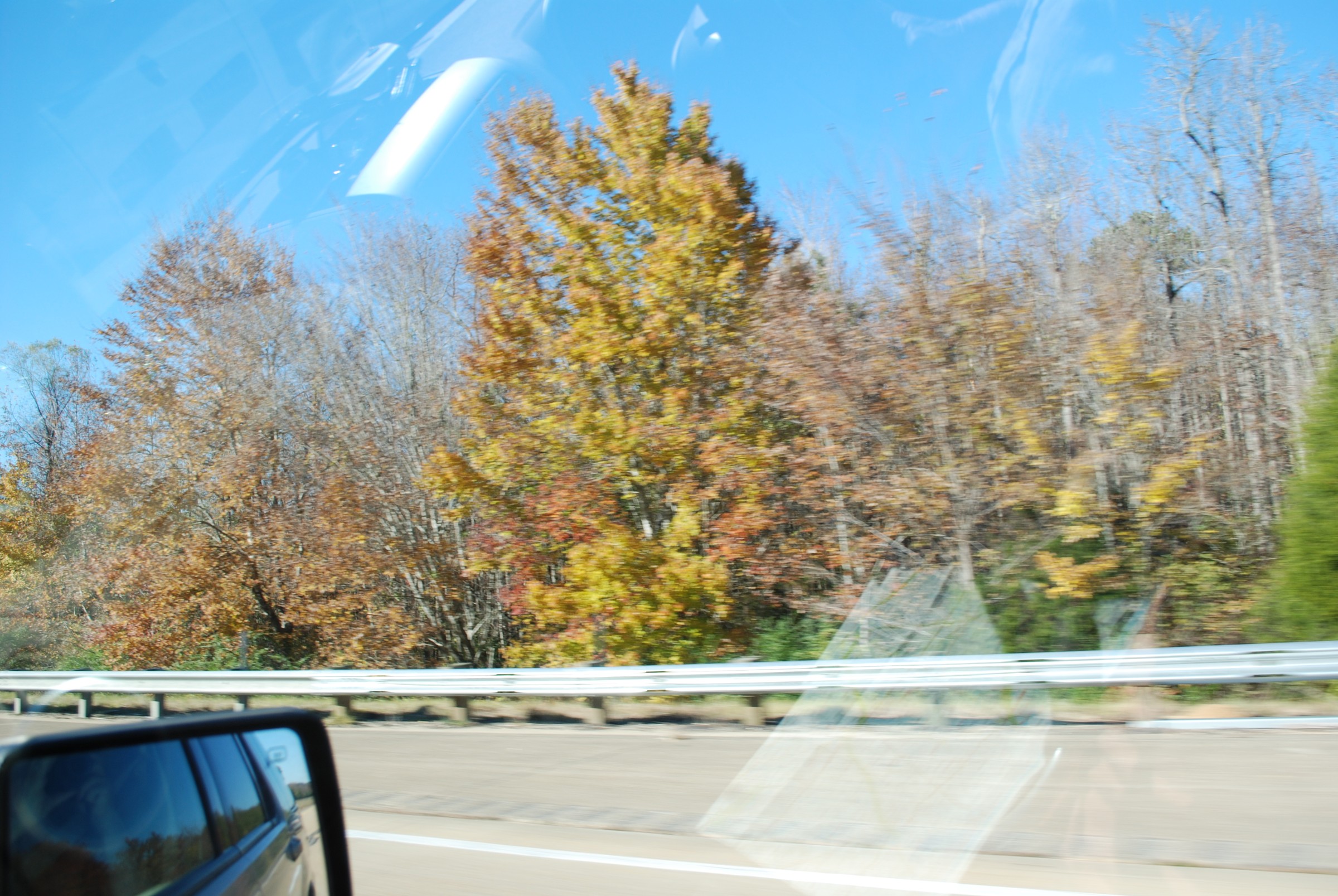 DSC_0232.JPG