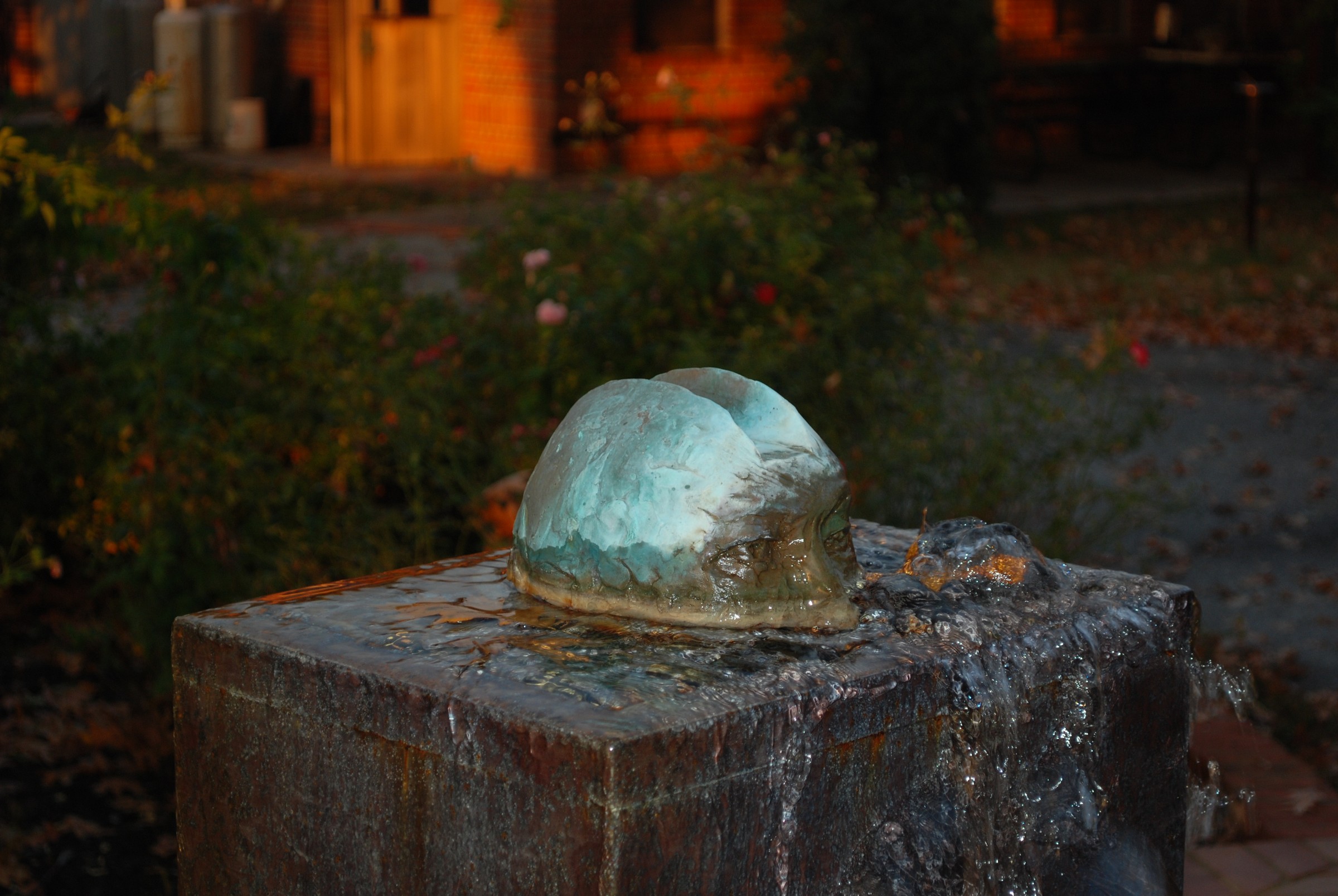 DSC_0249.JPG