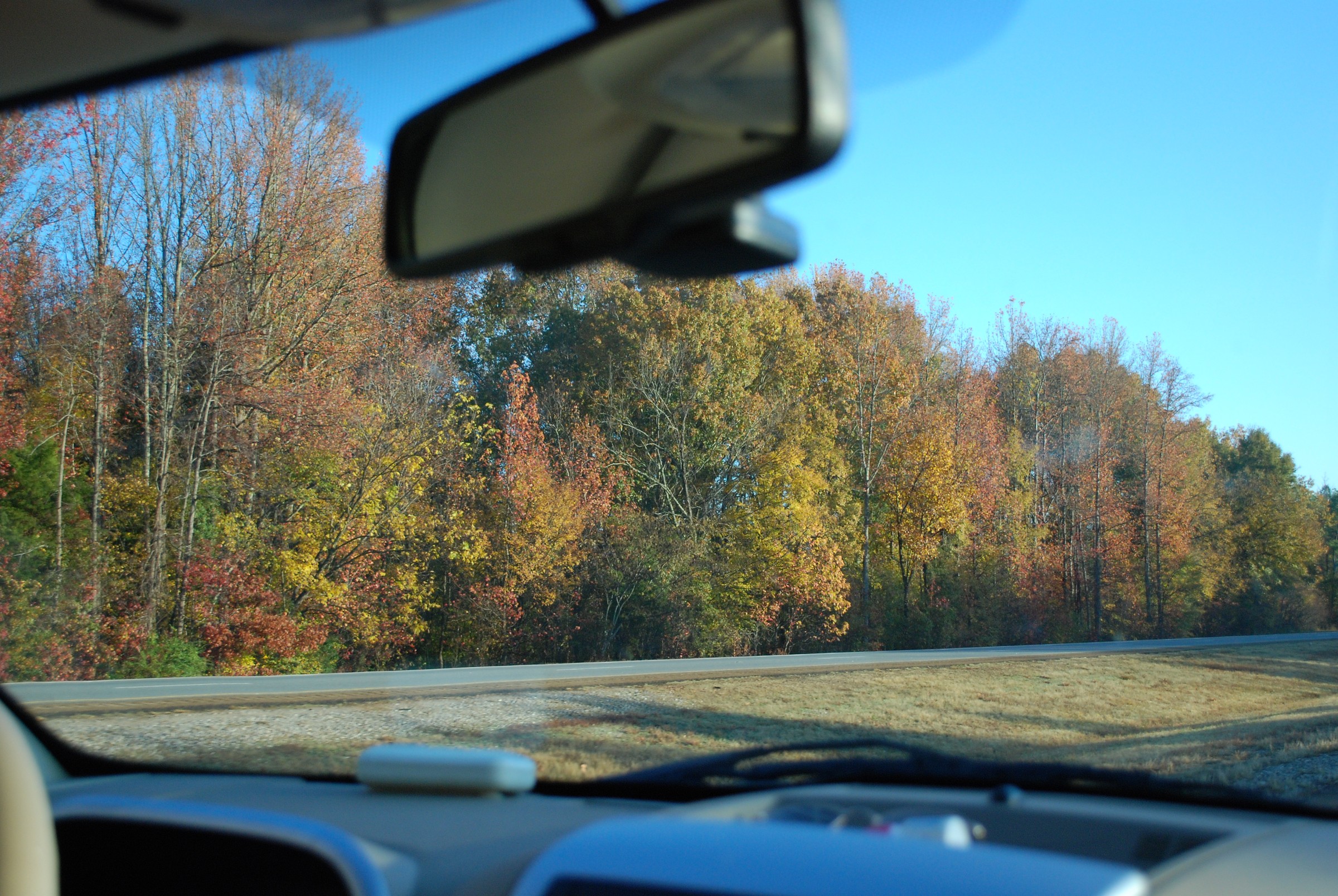 DSC_0260.JPG