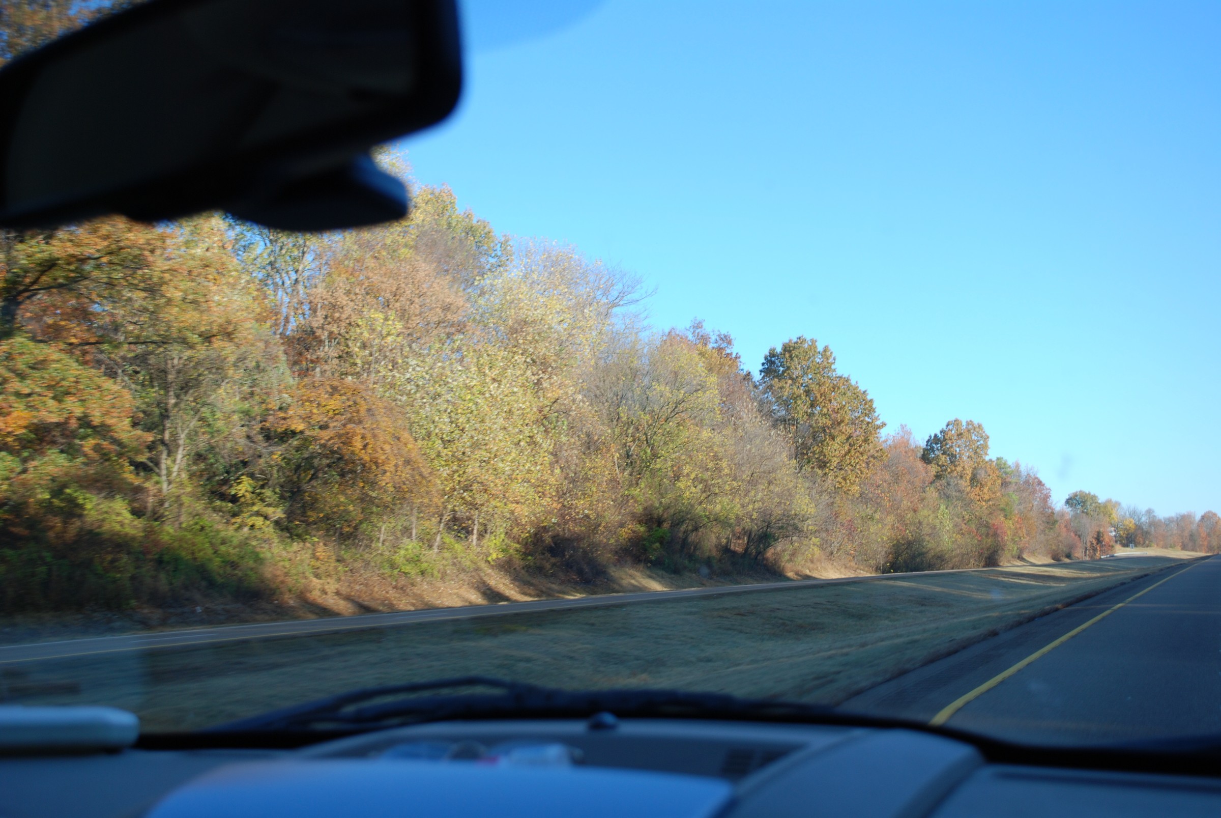 DSC_0265.JPG