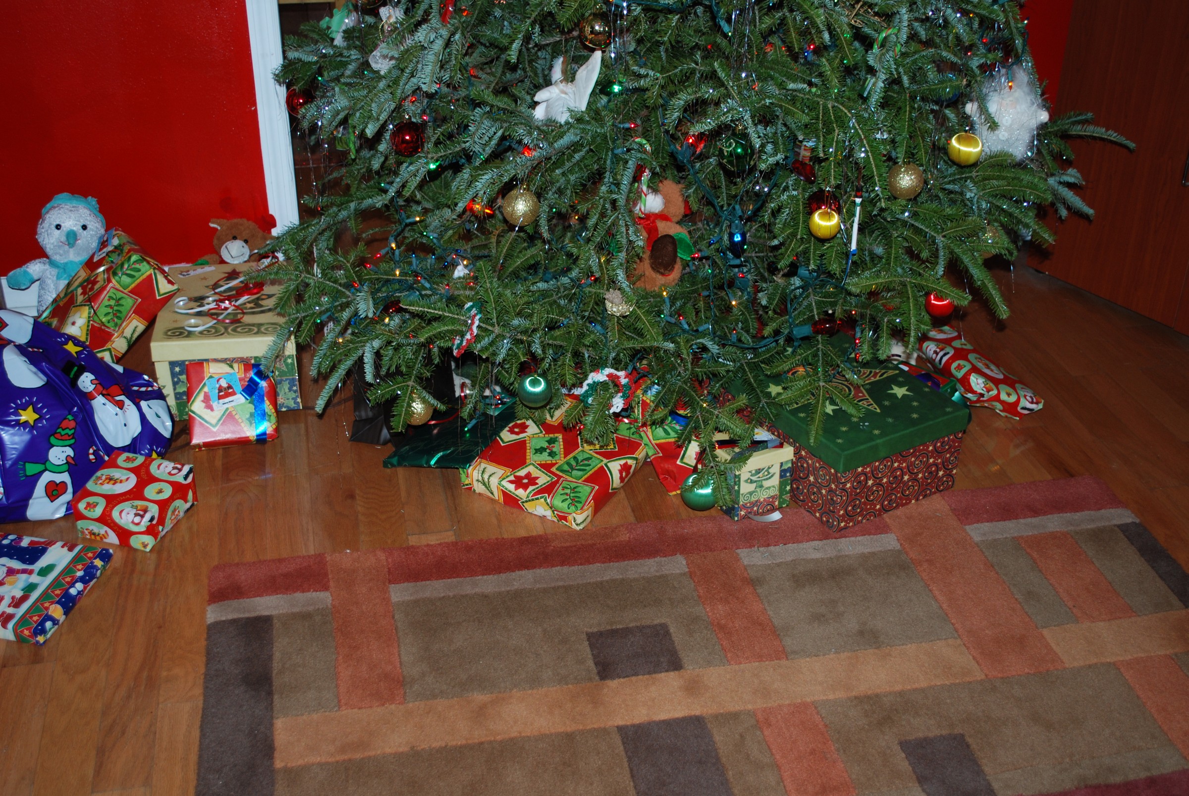 DSC_0296.JPG