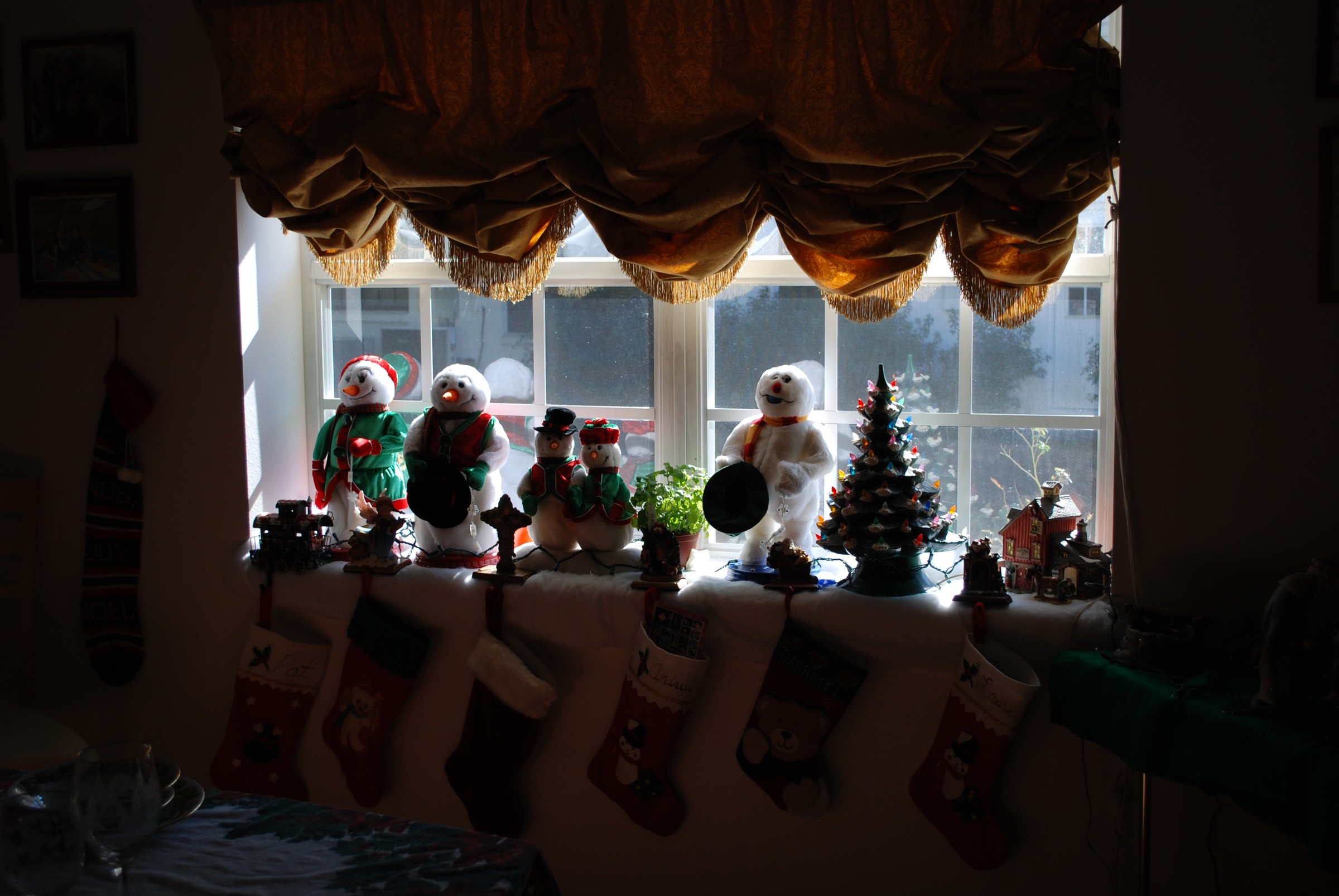 DSC_0310.JPG