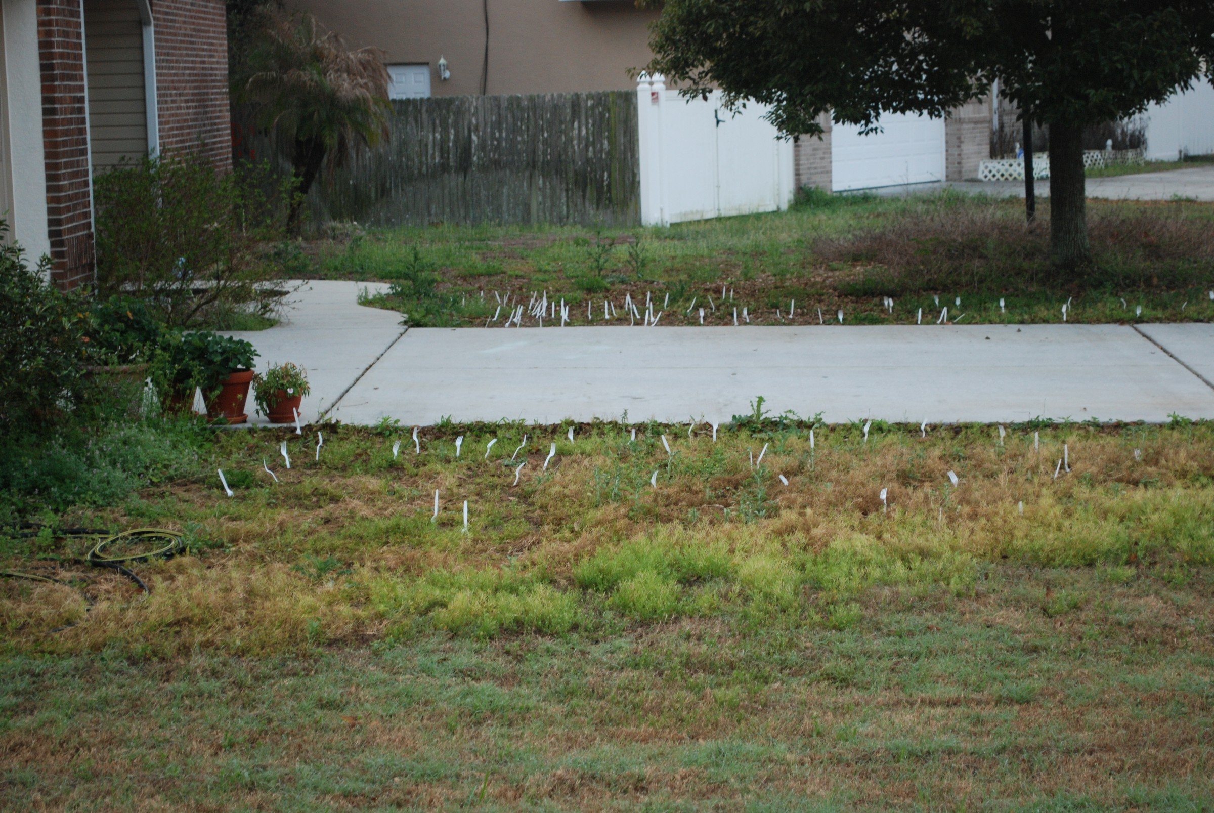 DSC_0373.JPG