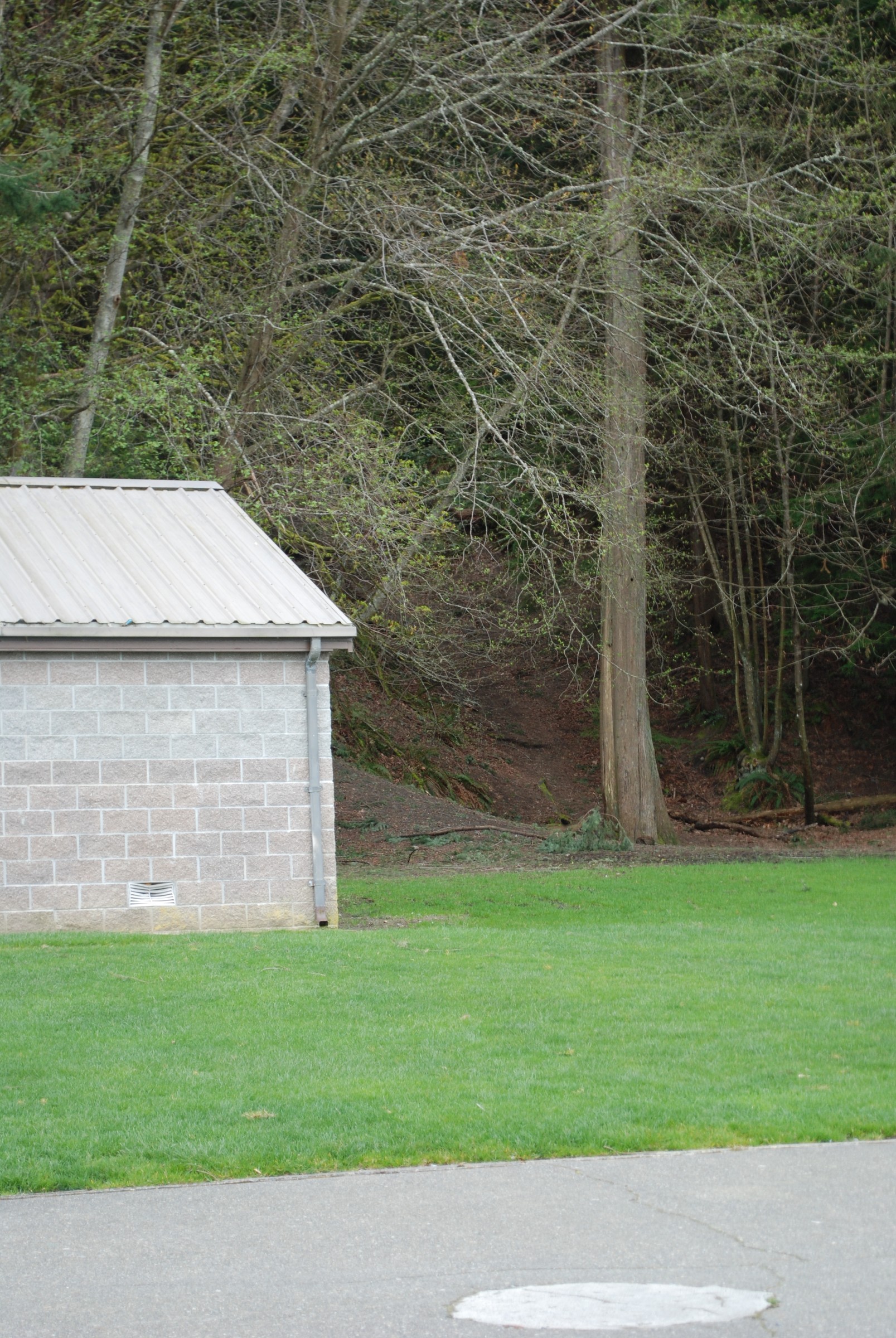 DSC_0454.JPG