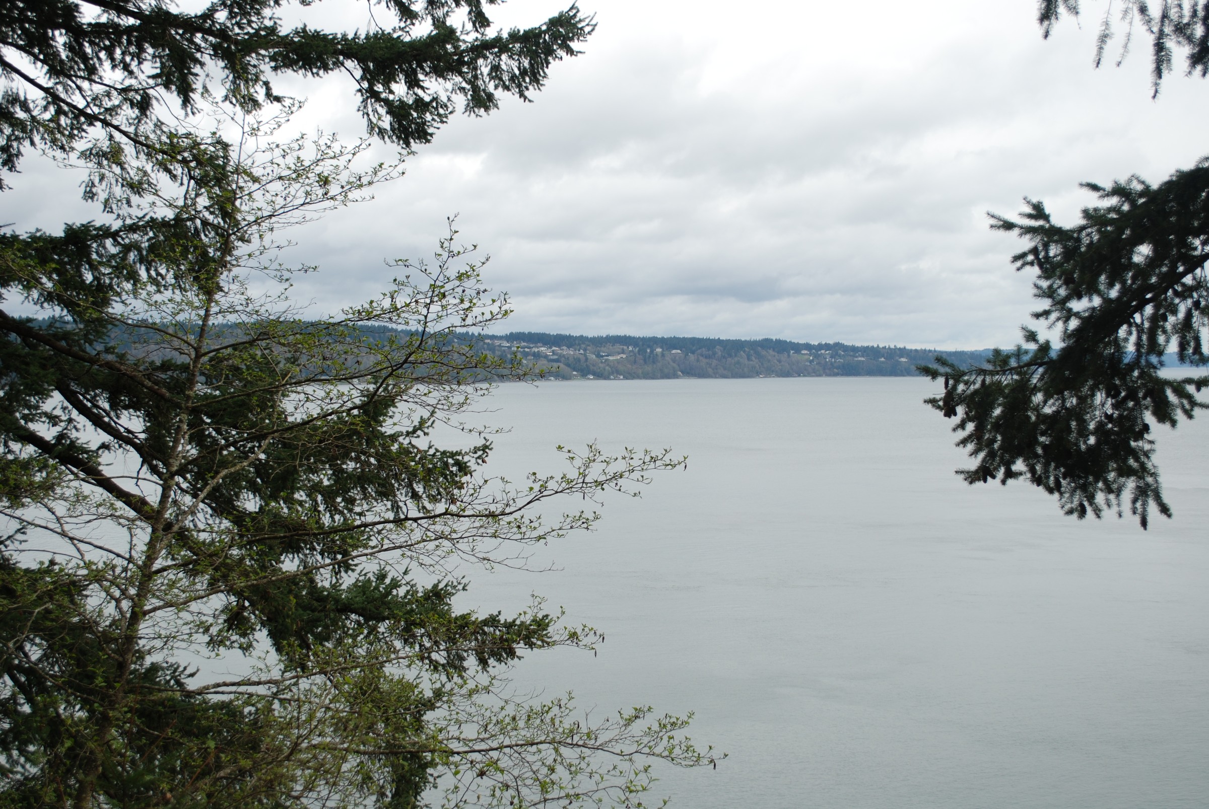 DSC_0461.JPG
