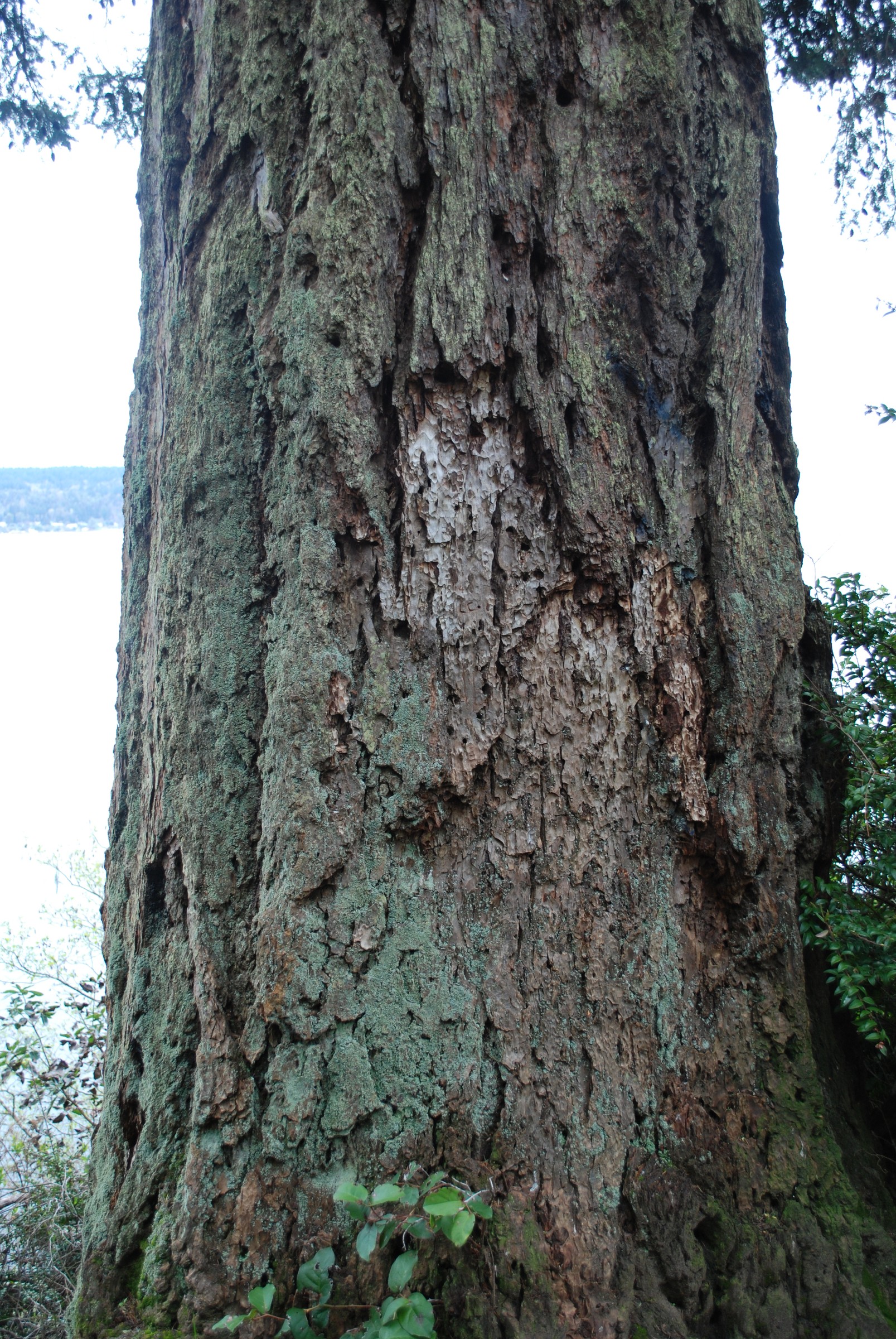 DSC_0462.JPG