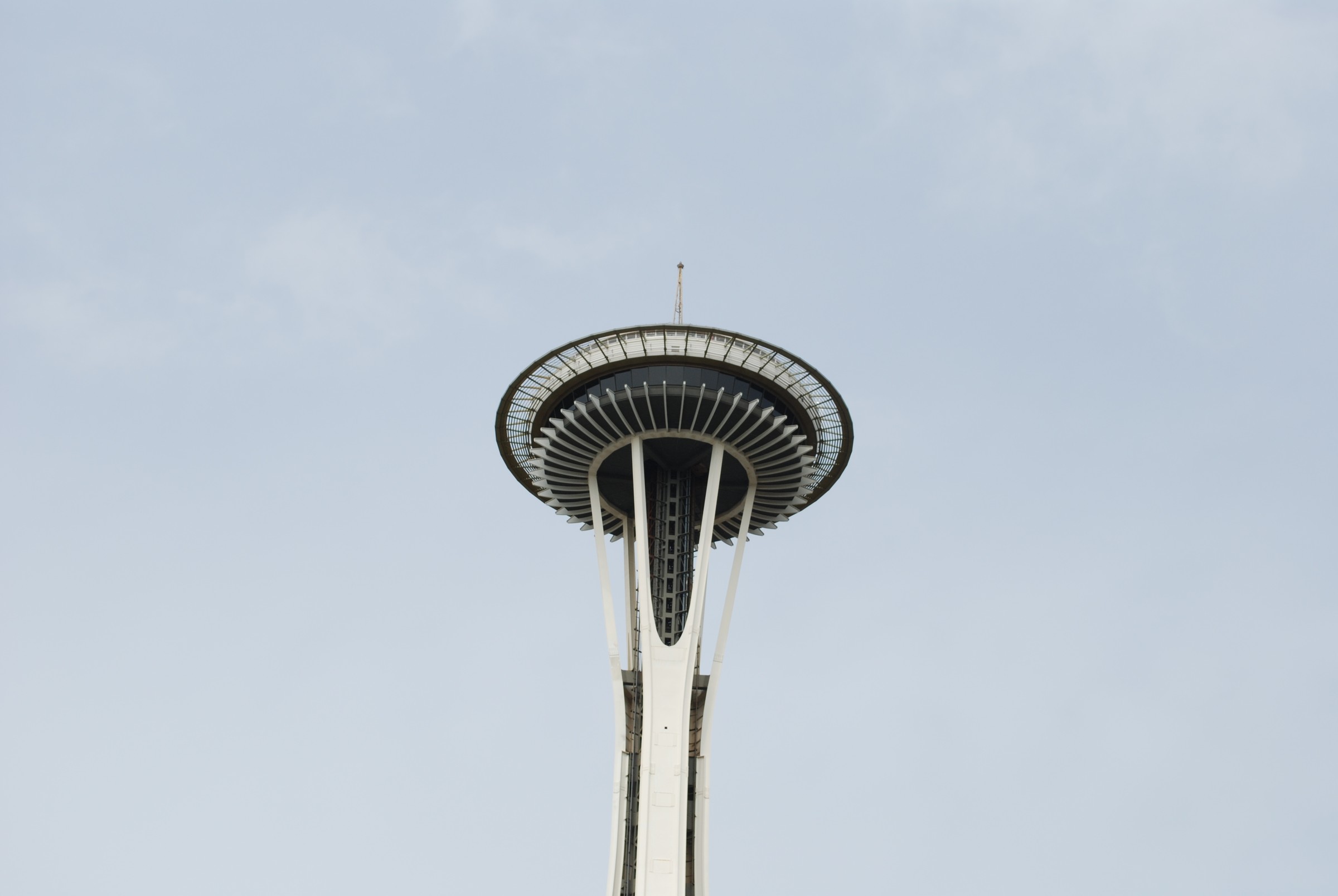 DSC_0480.JPG