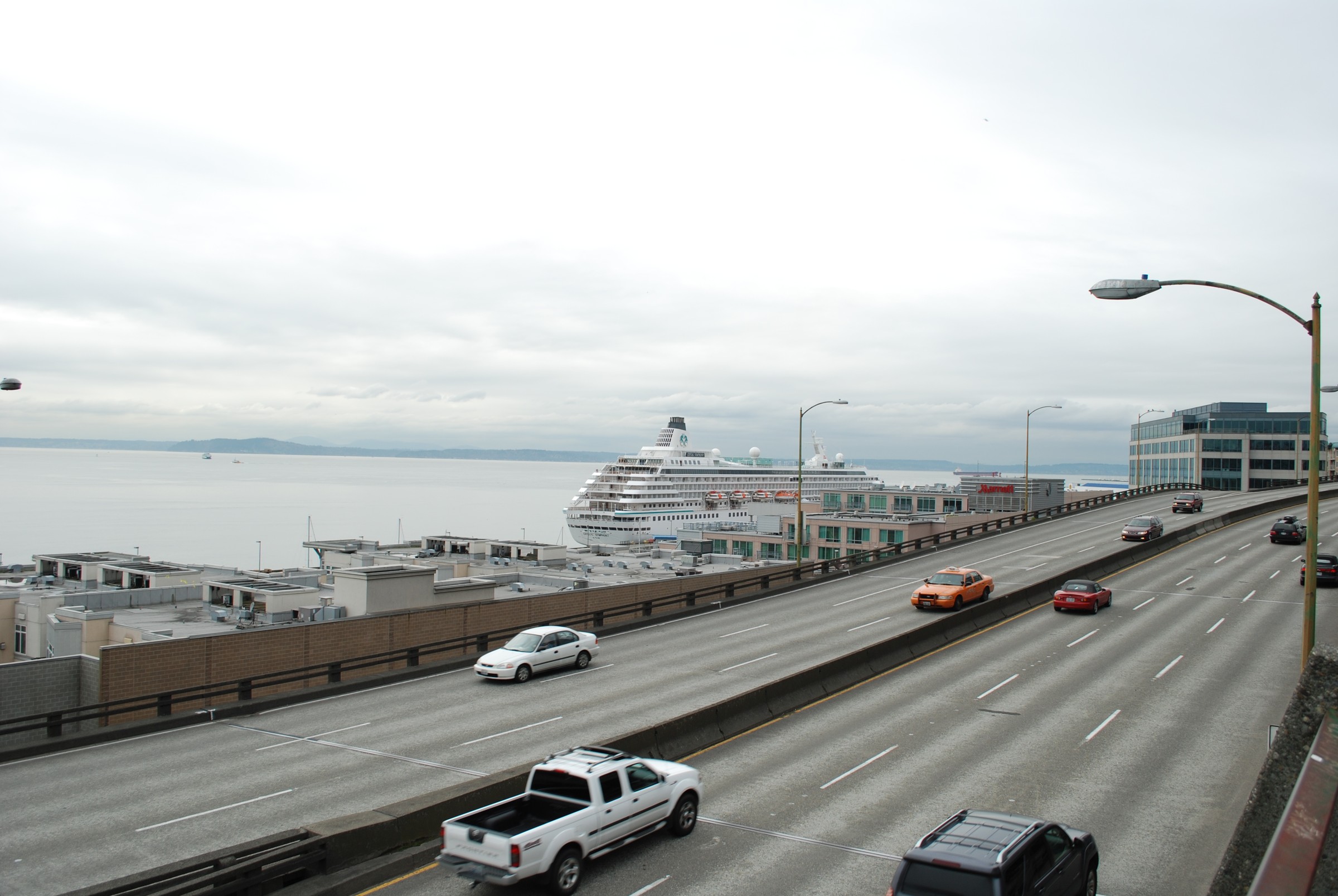 DSC_0503.JPG