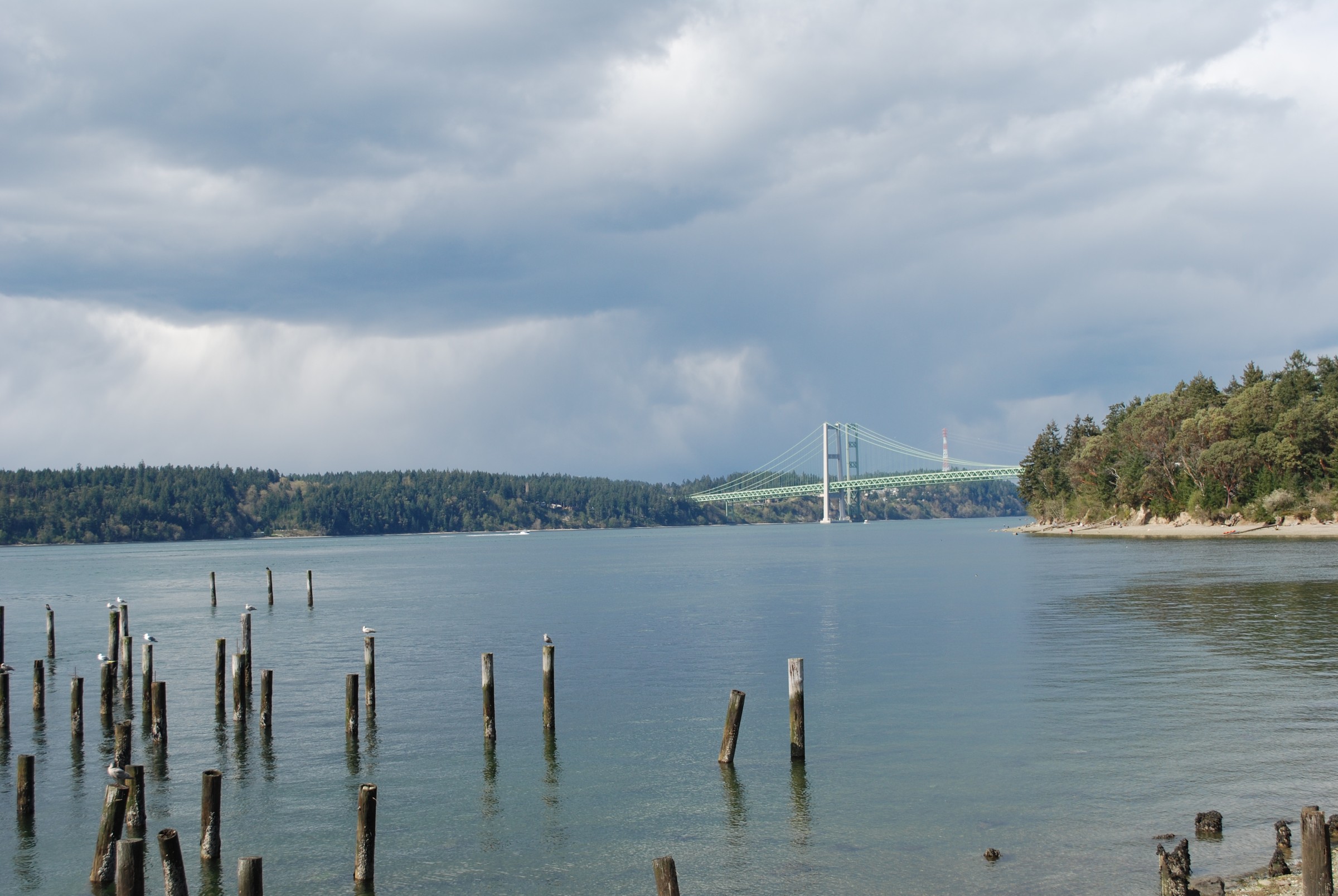 DSC_0509.JPG