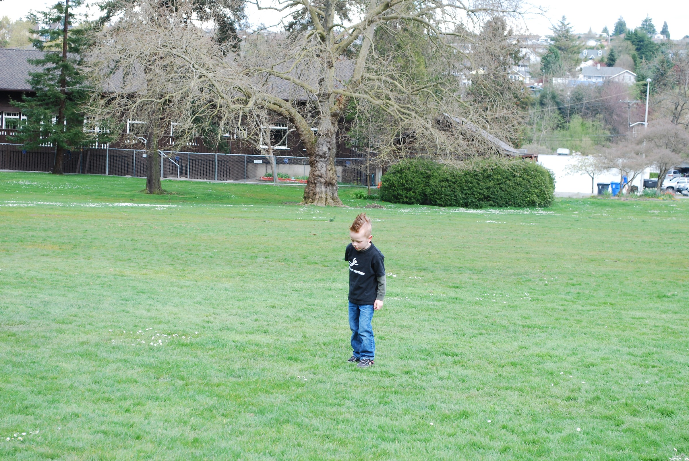 DSC_0521.JPG