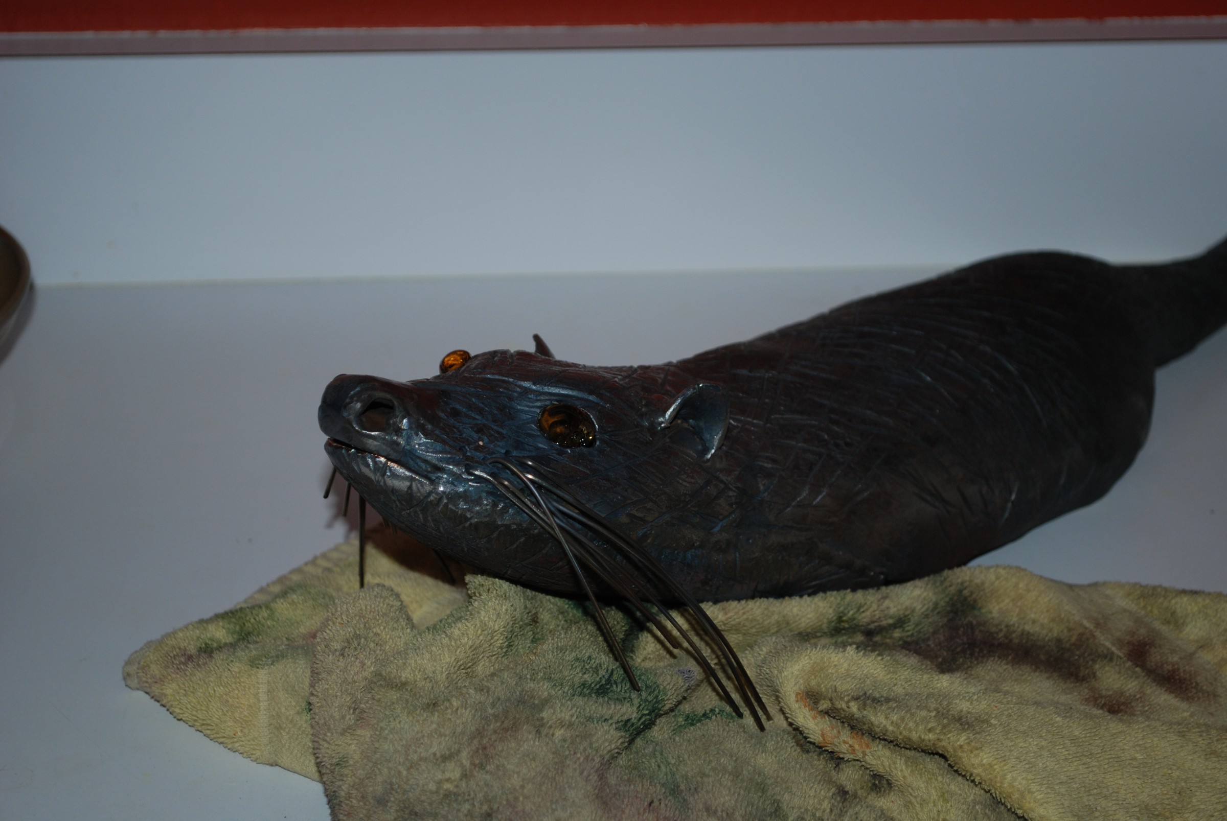 DSC_0646.JPG