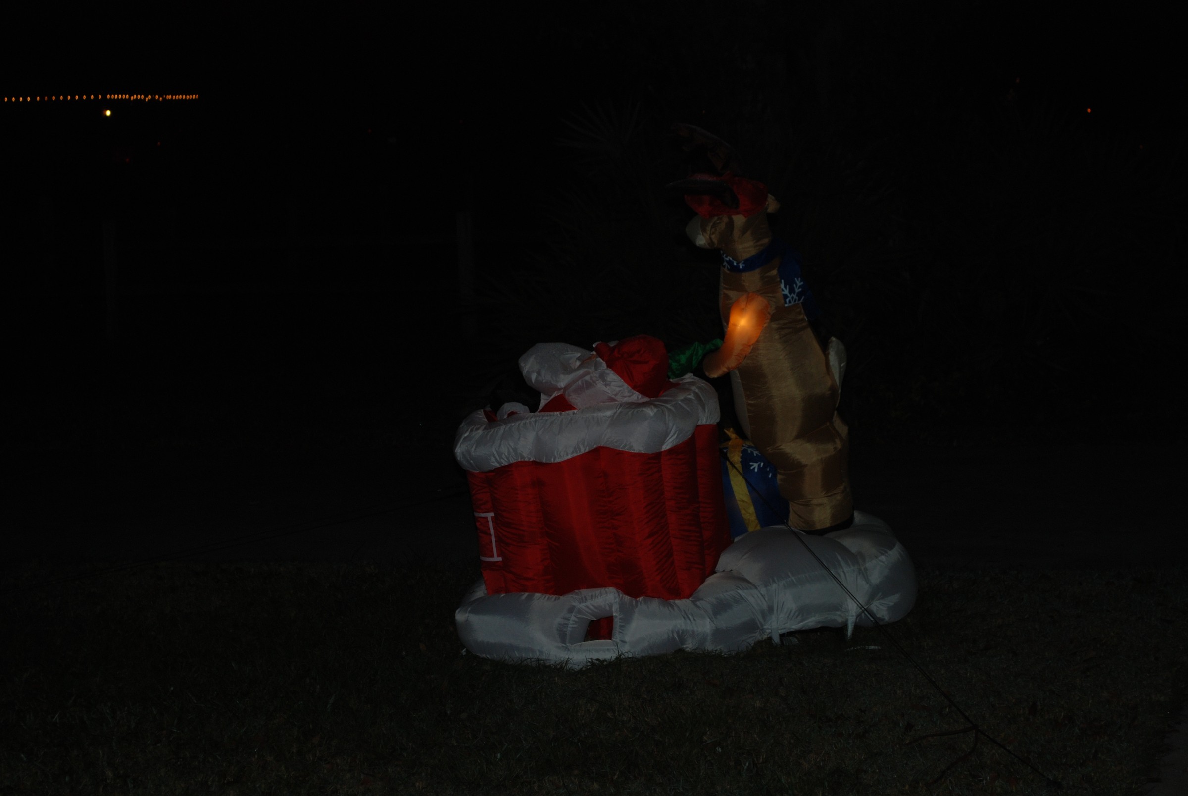DSC_0717.JPG