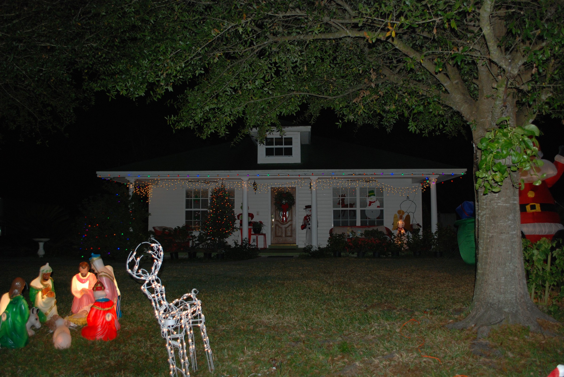 DSC_0722.JPG