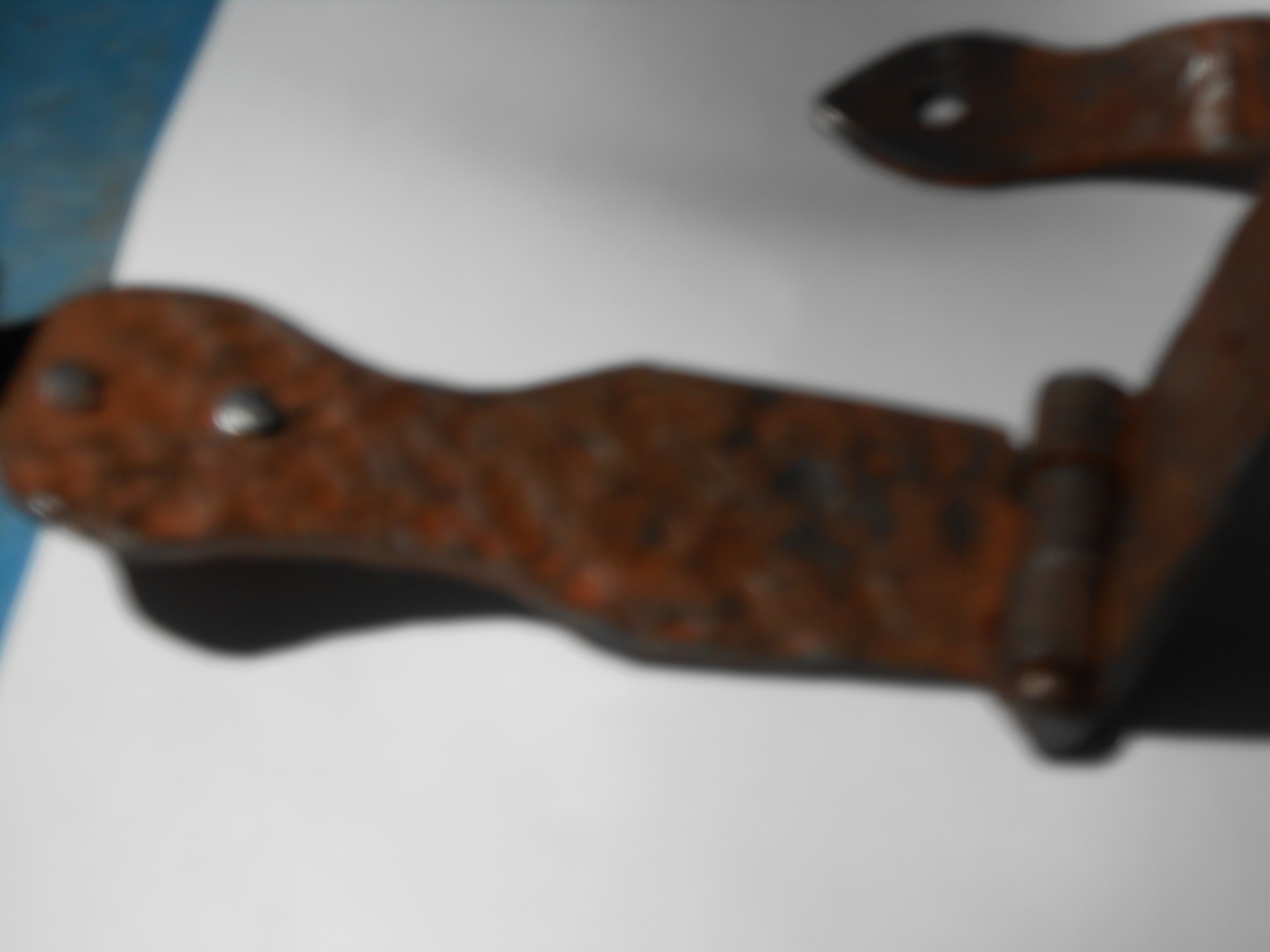 DSCN0141.JPG