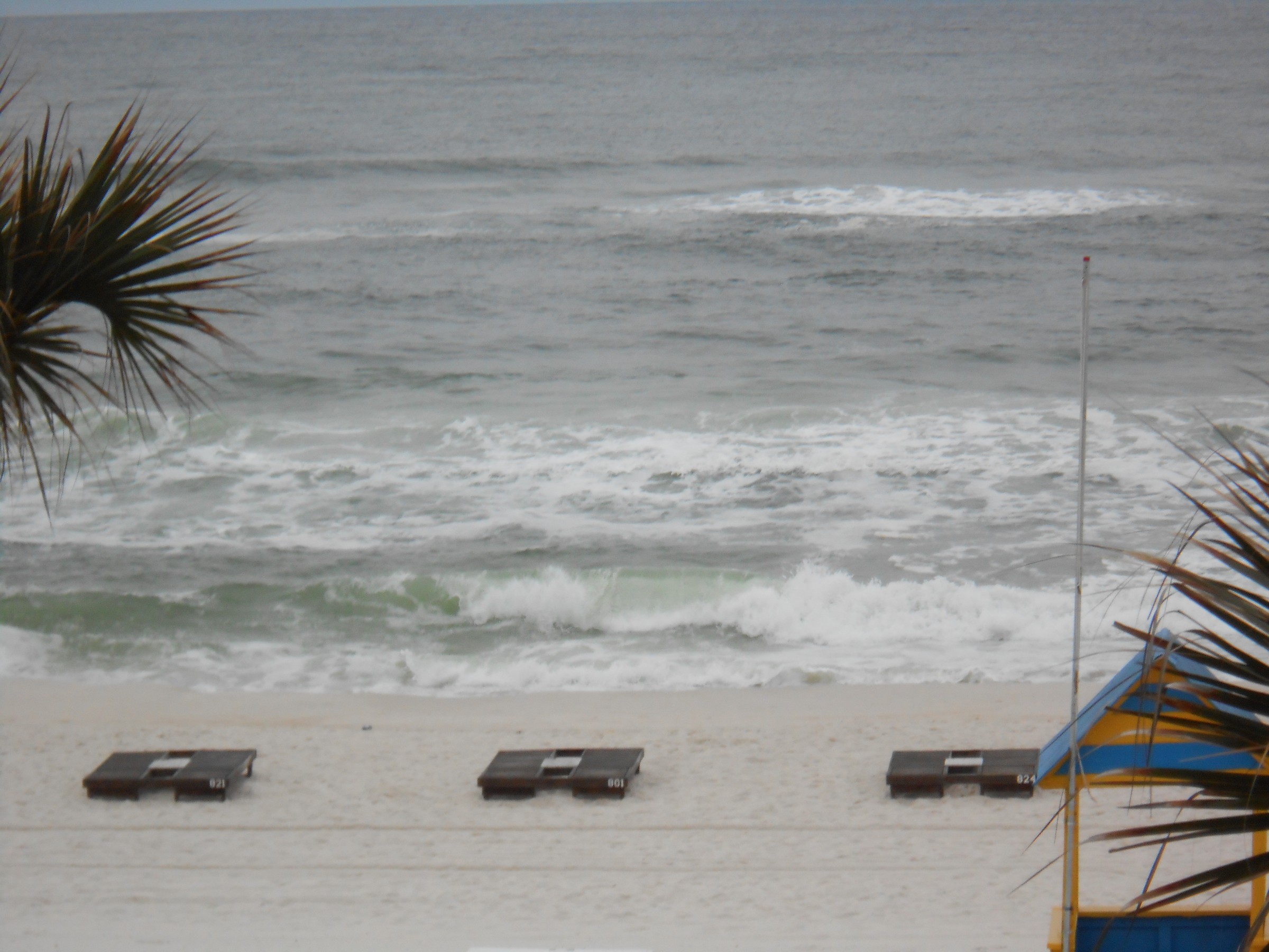 DSCN0177.JPG