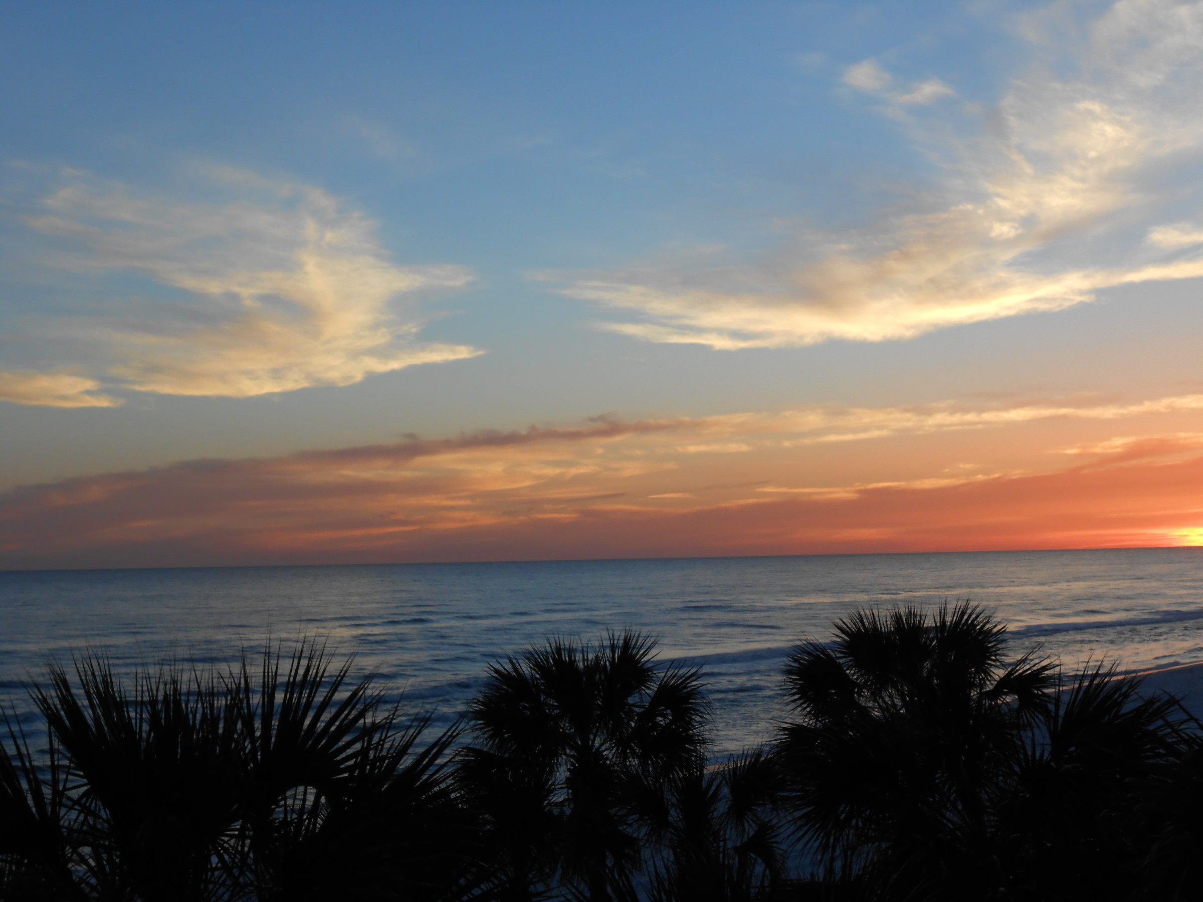 DSCN0190.JPG