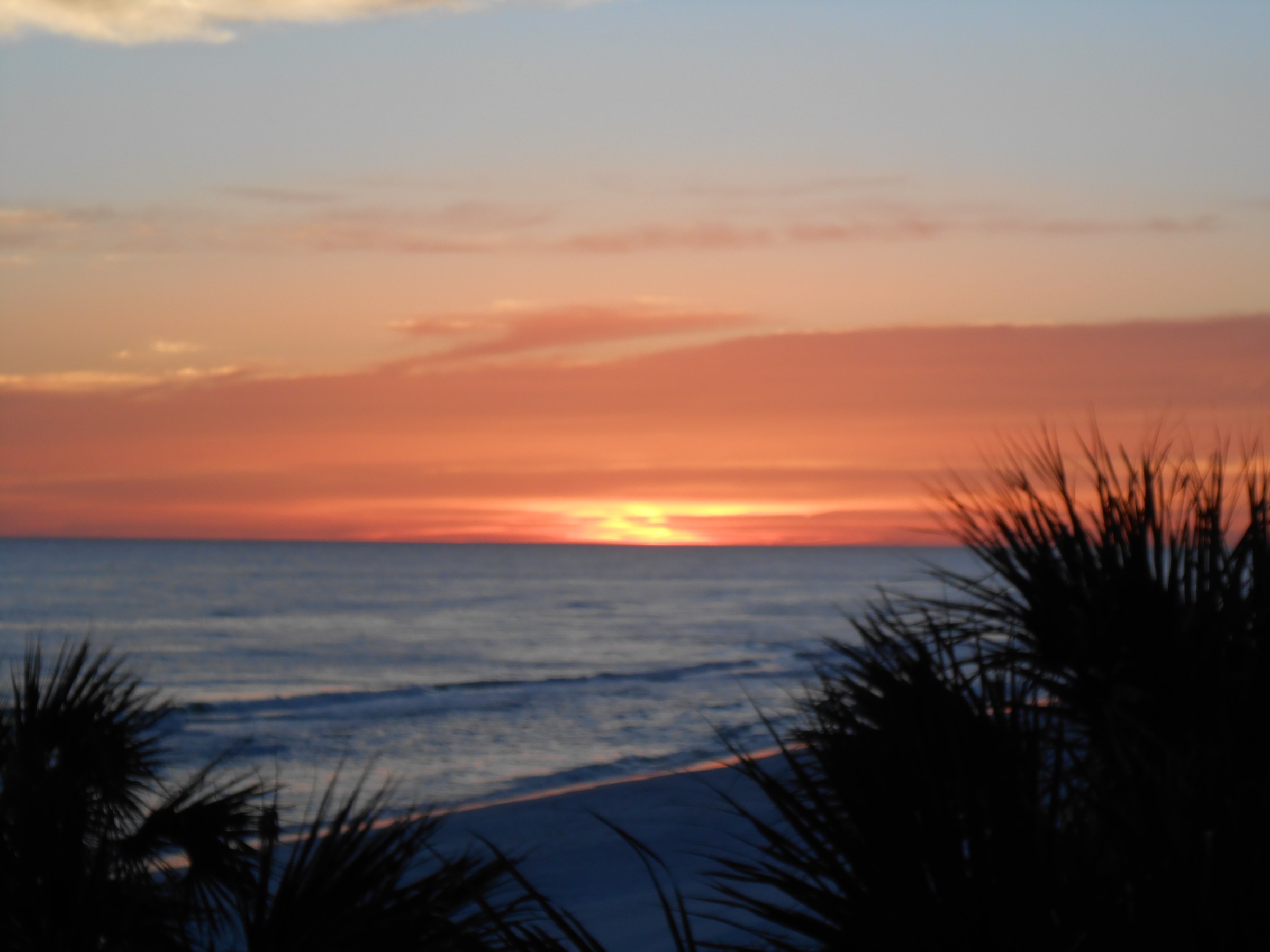 DSCN0193.JPG