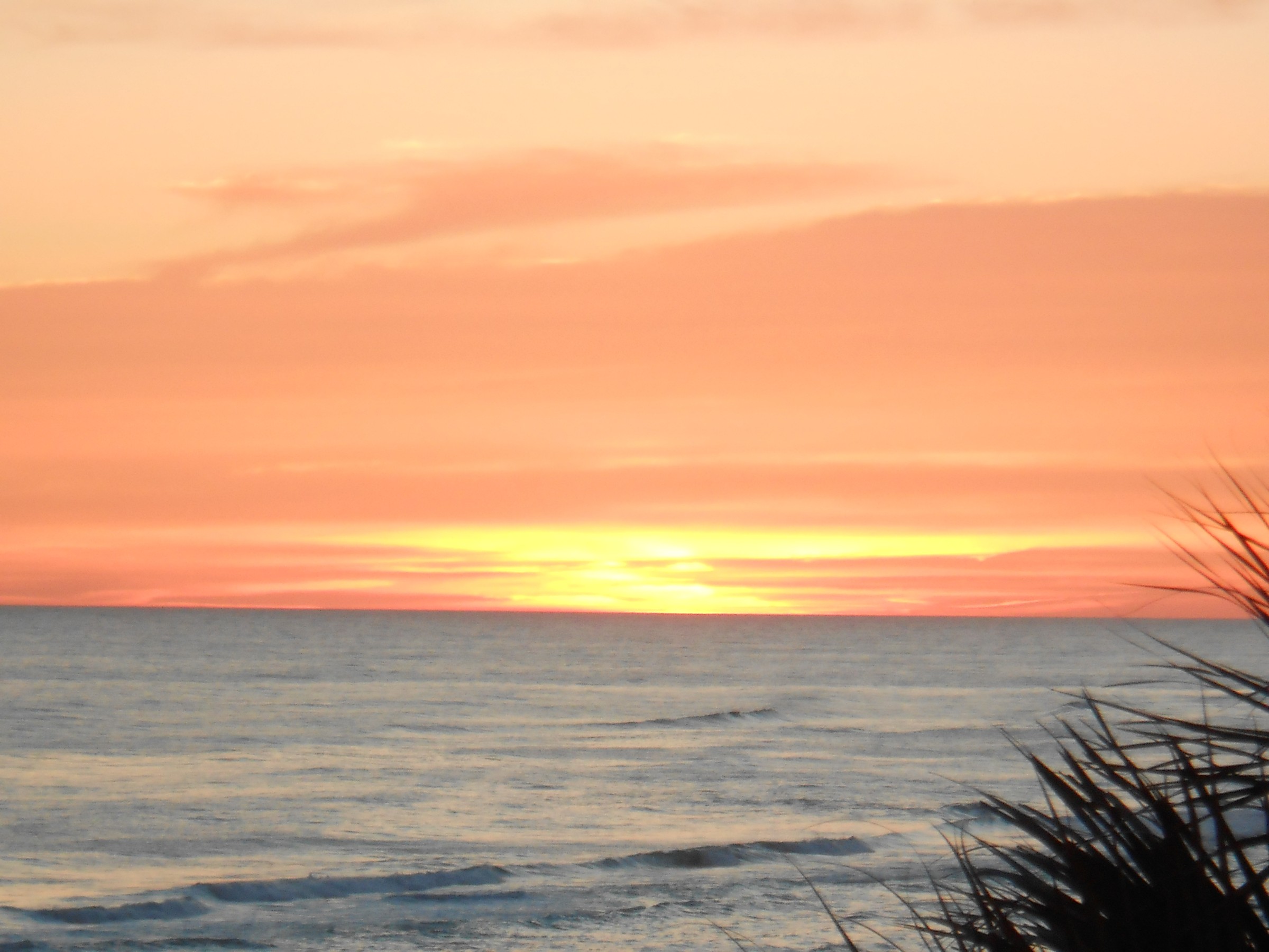DSCN0194.JPG