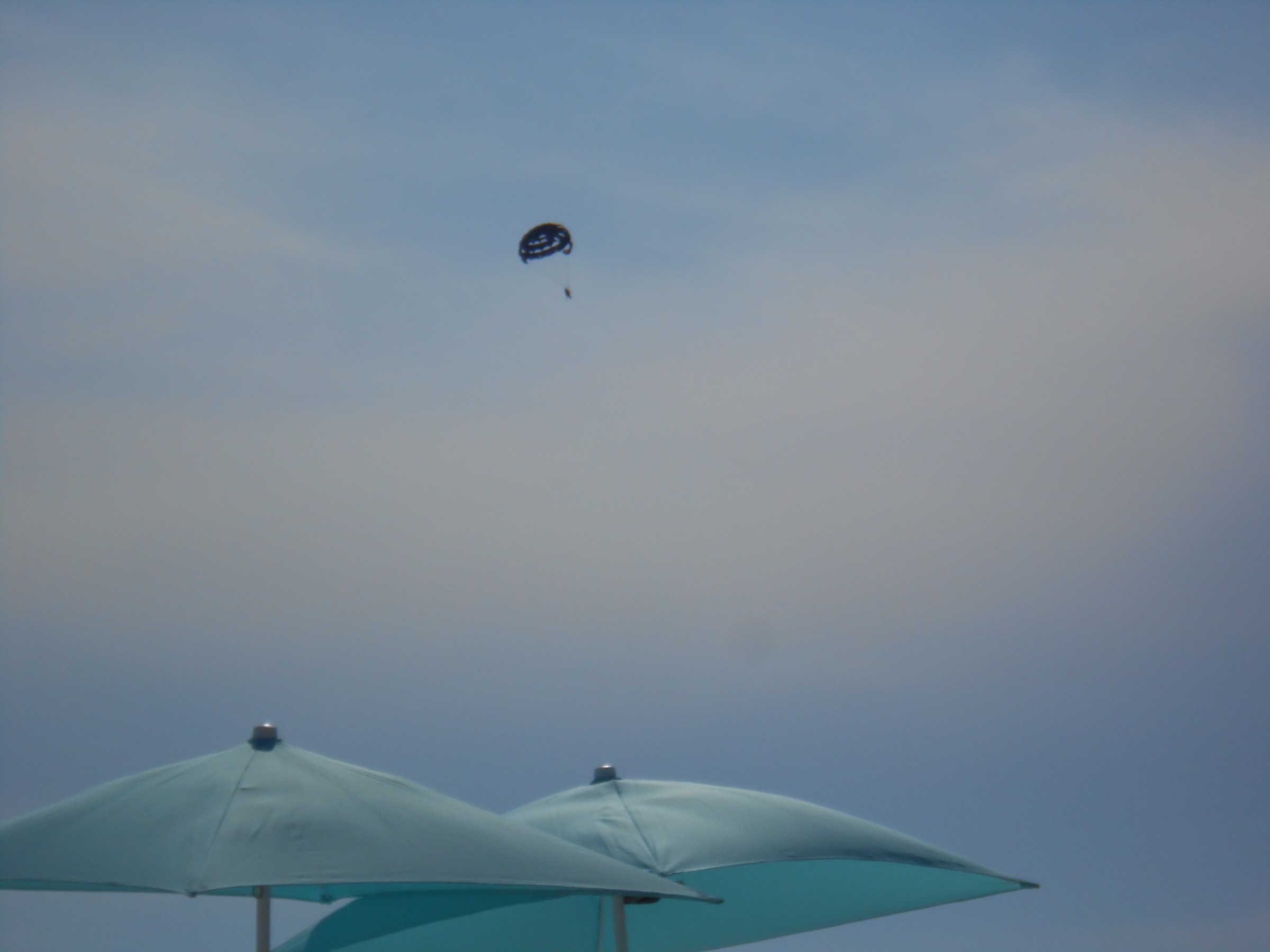 DSCN0202.JPG