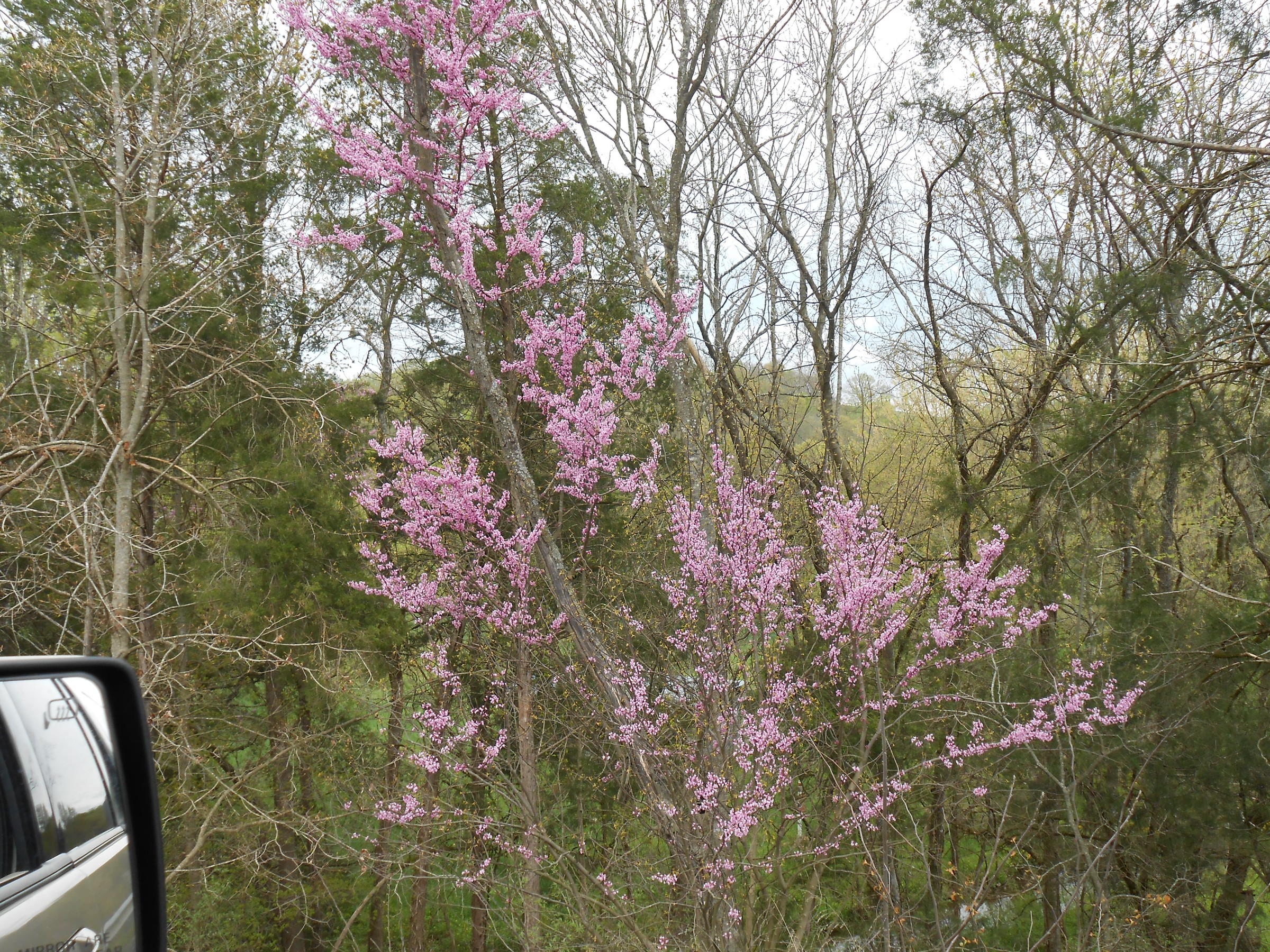 DSCN0213.JPG