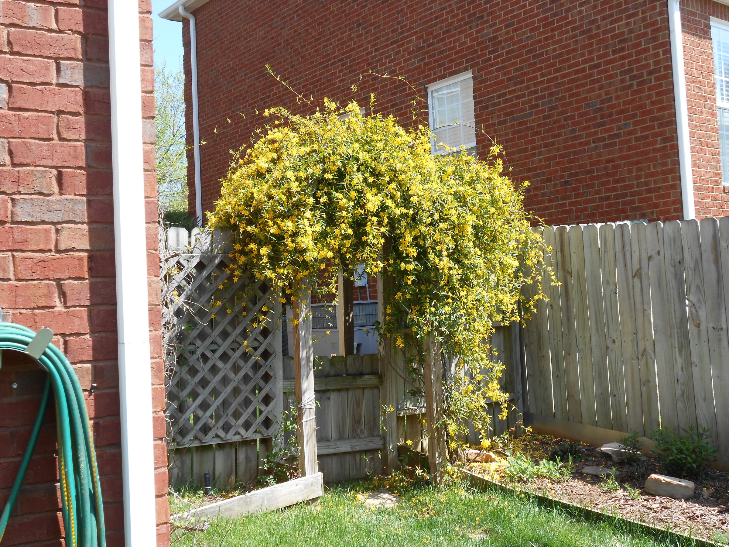 DSCN0226.JPG