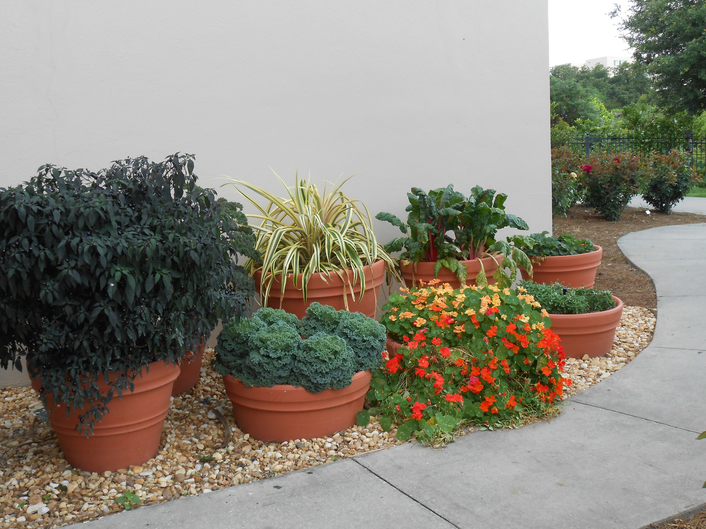 DSCN0312.JPG