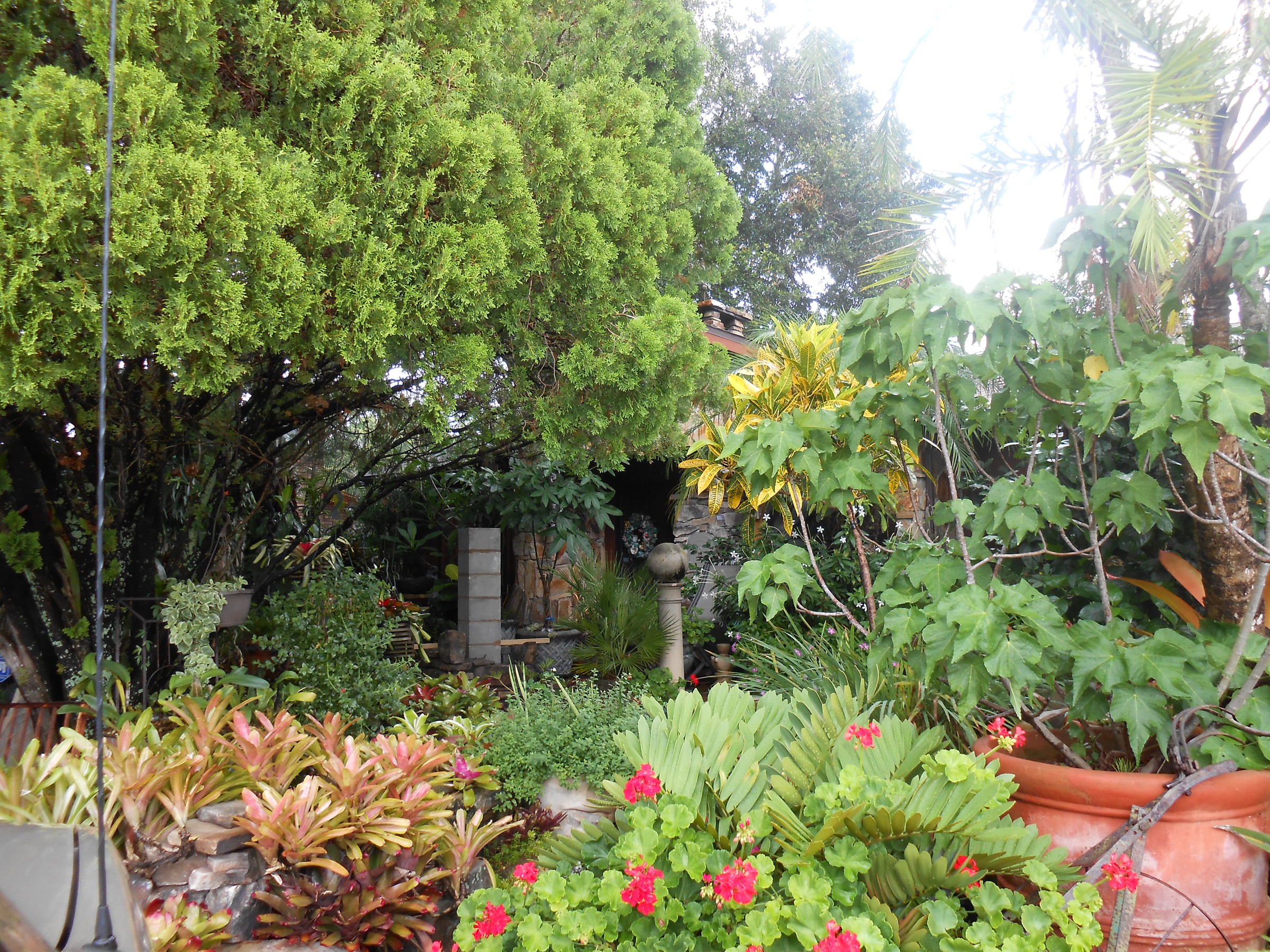 DSCN0482.JPG
