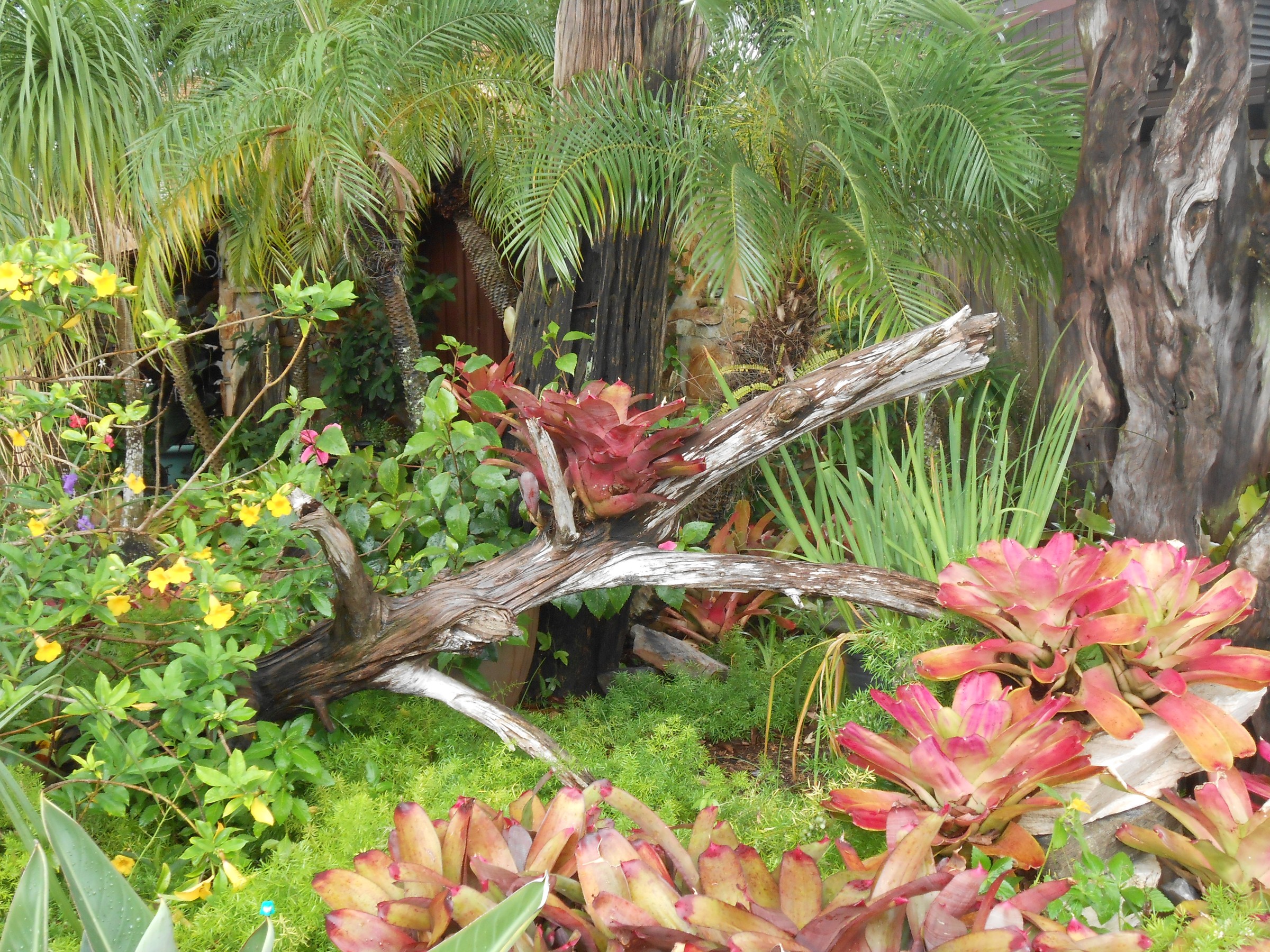 DSCN0485.JPG