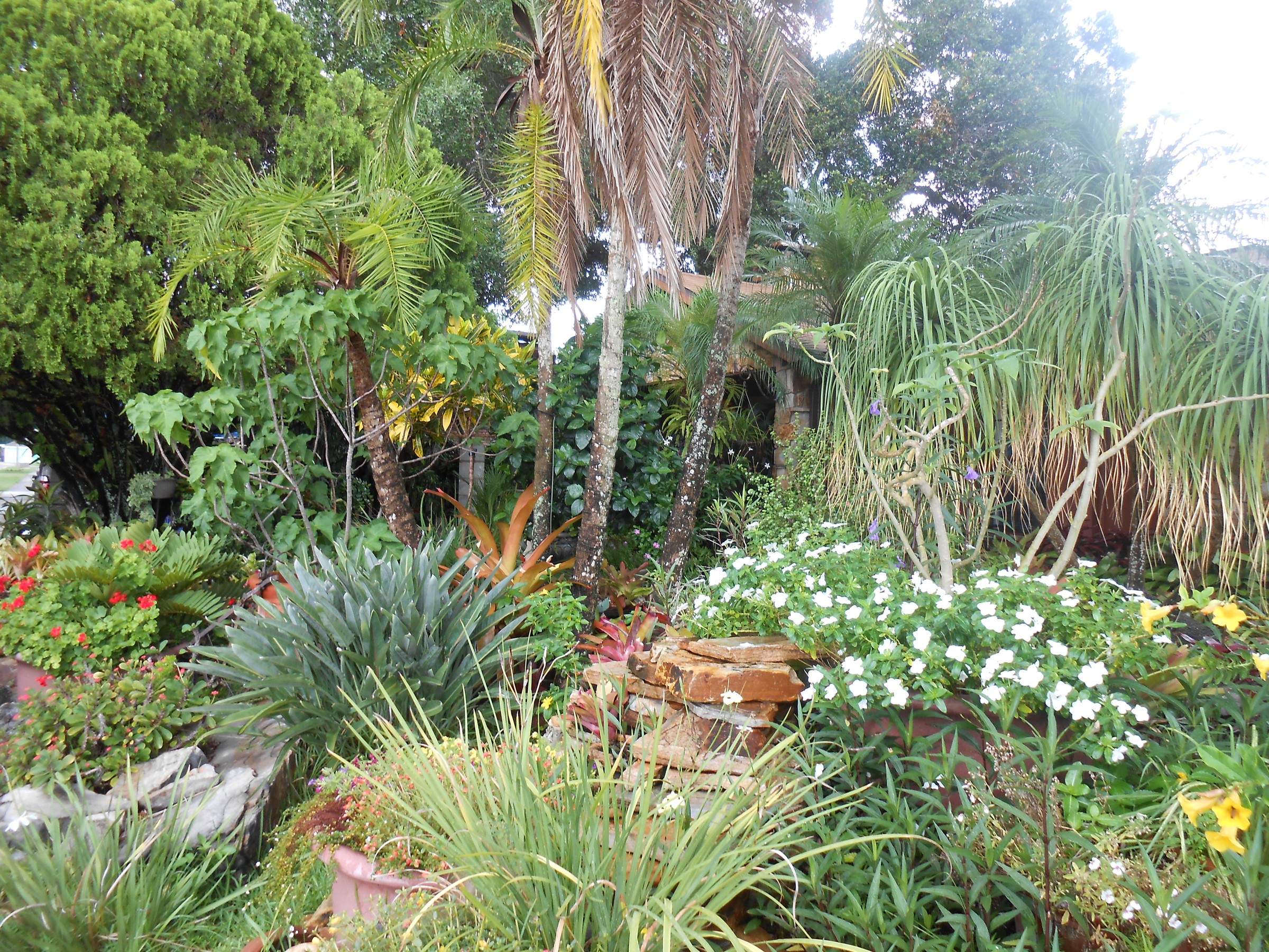 DSCN0486.JPG