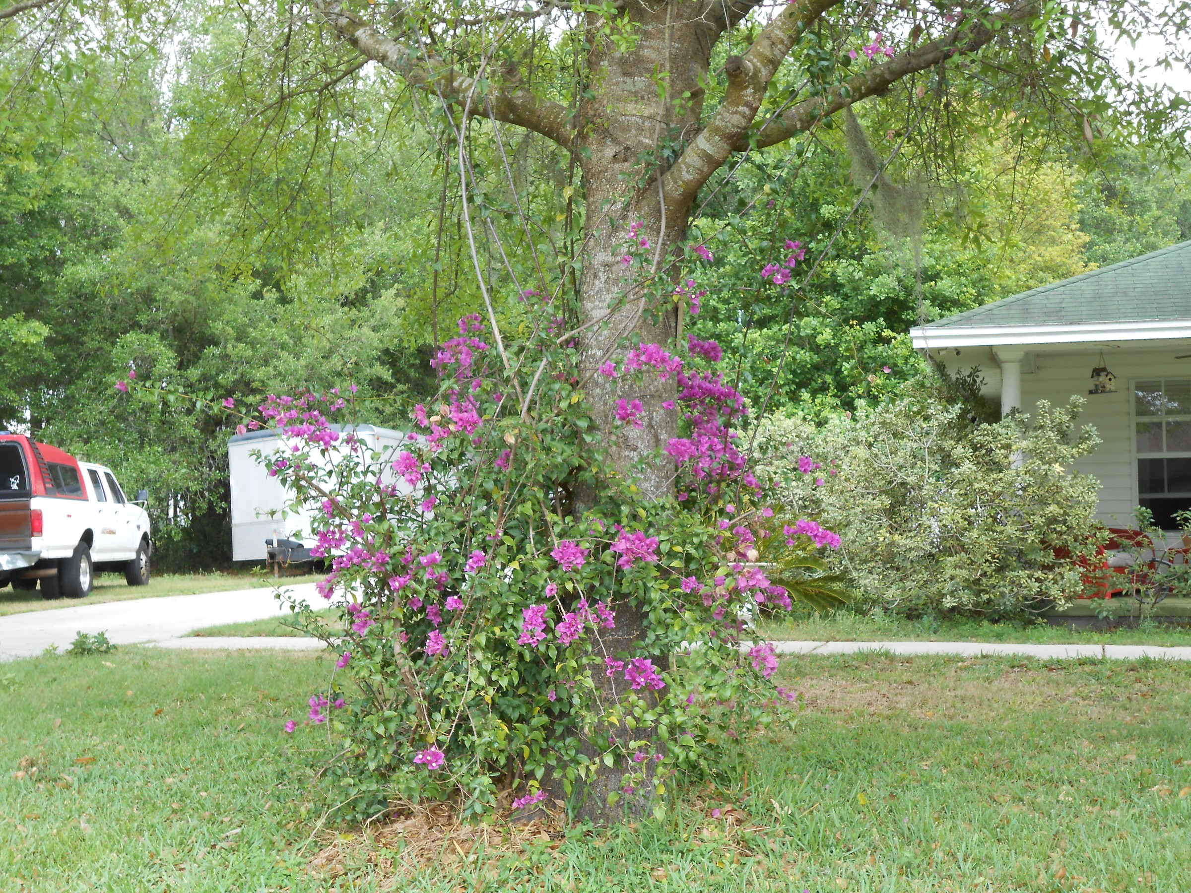 DSCN0163.JPG
