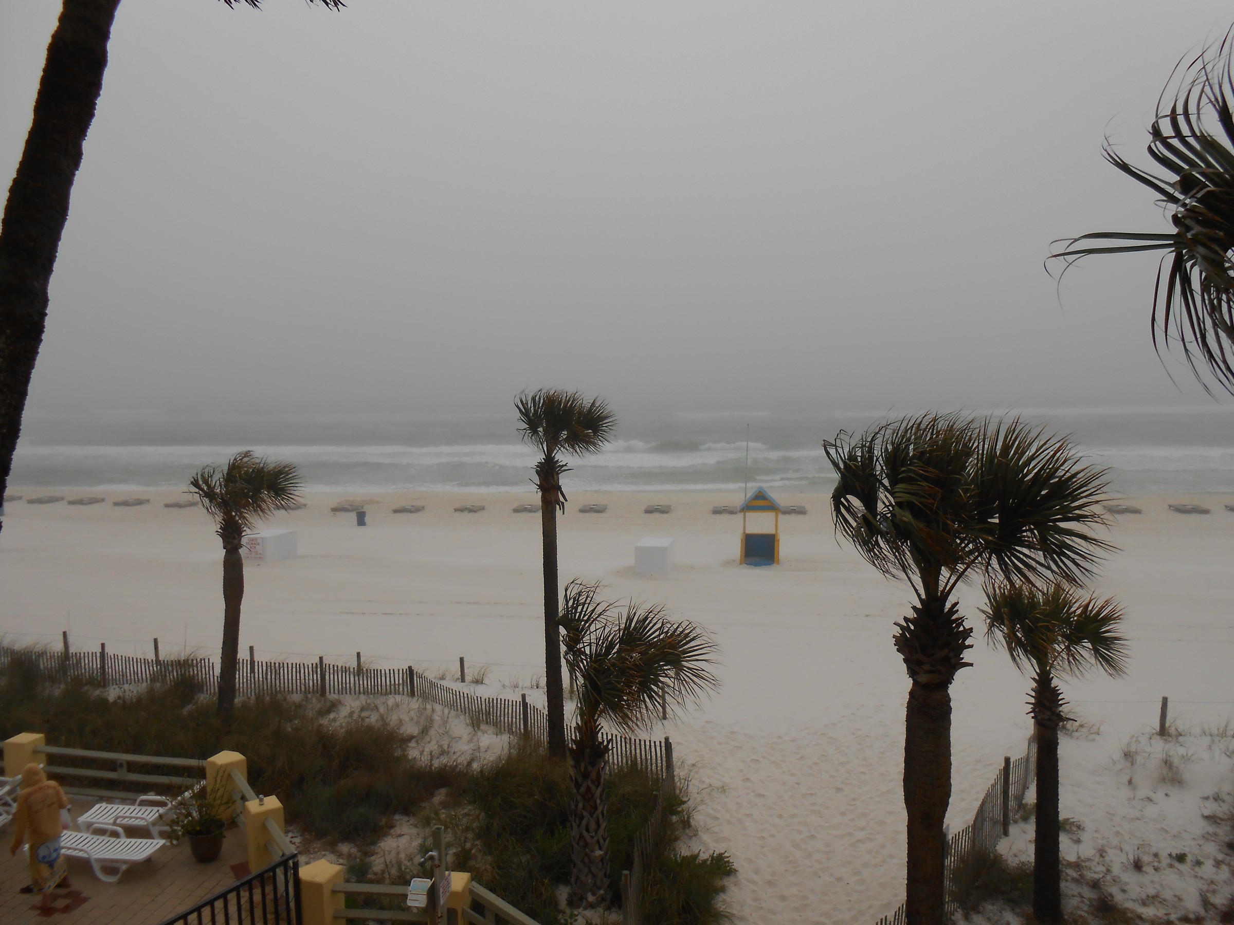 DSCN0175.JPG