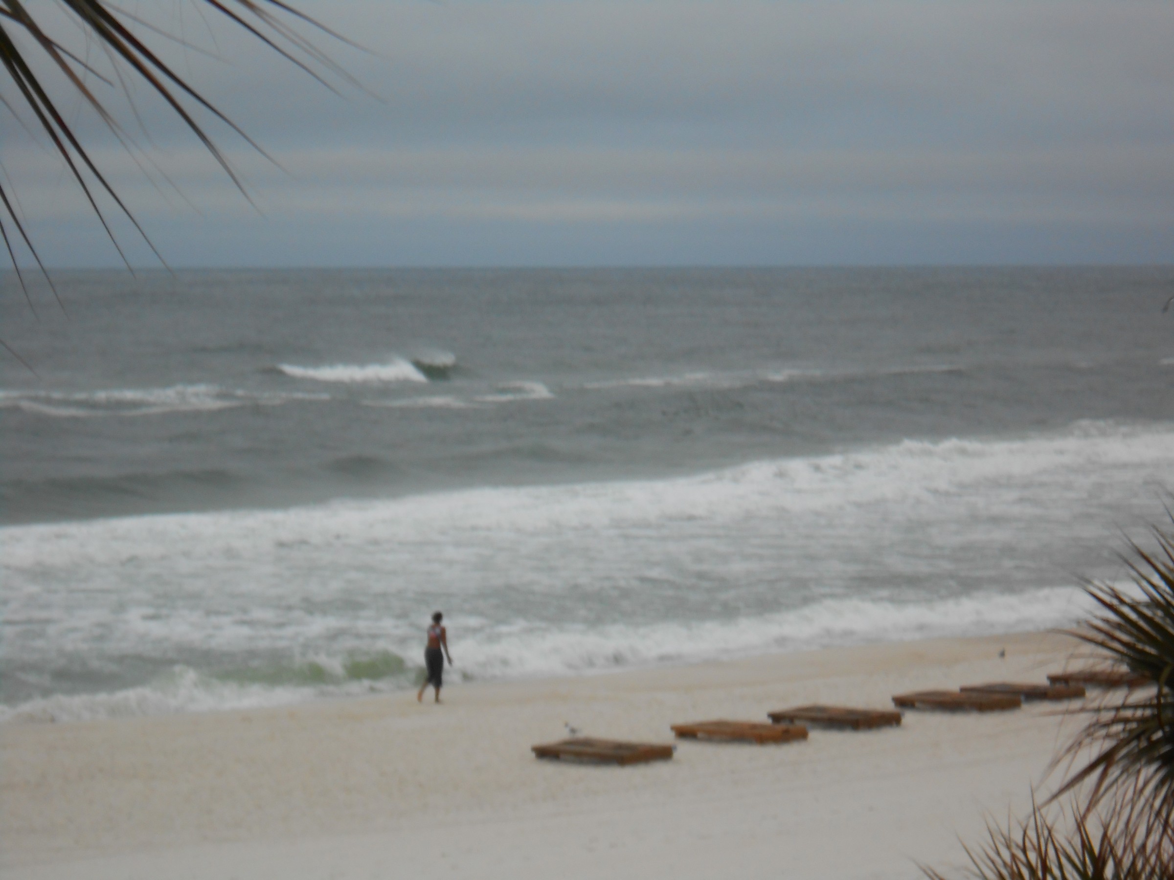 DSCN0178.JPG
