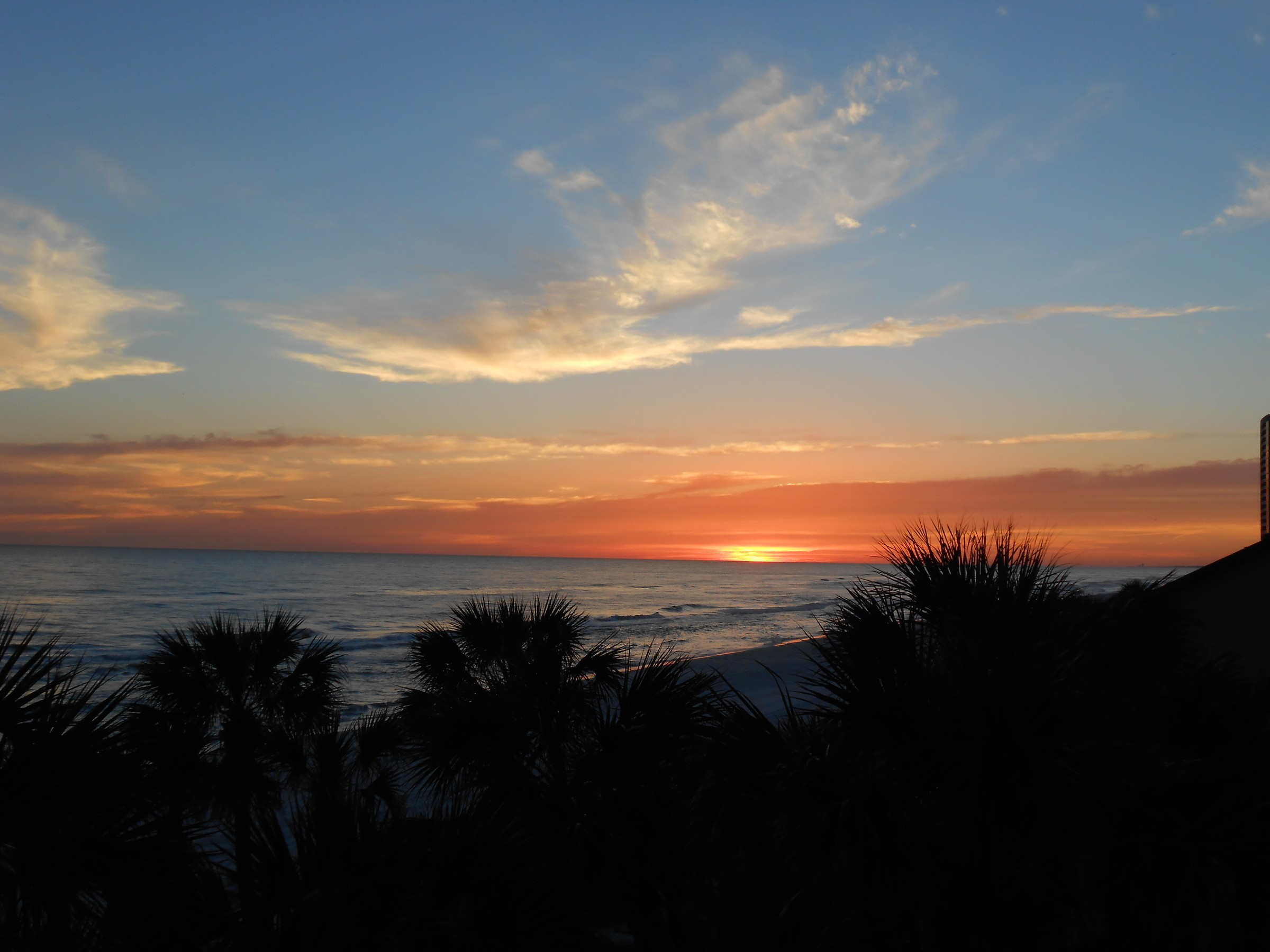 DSCN0191.JPG